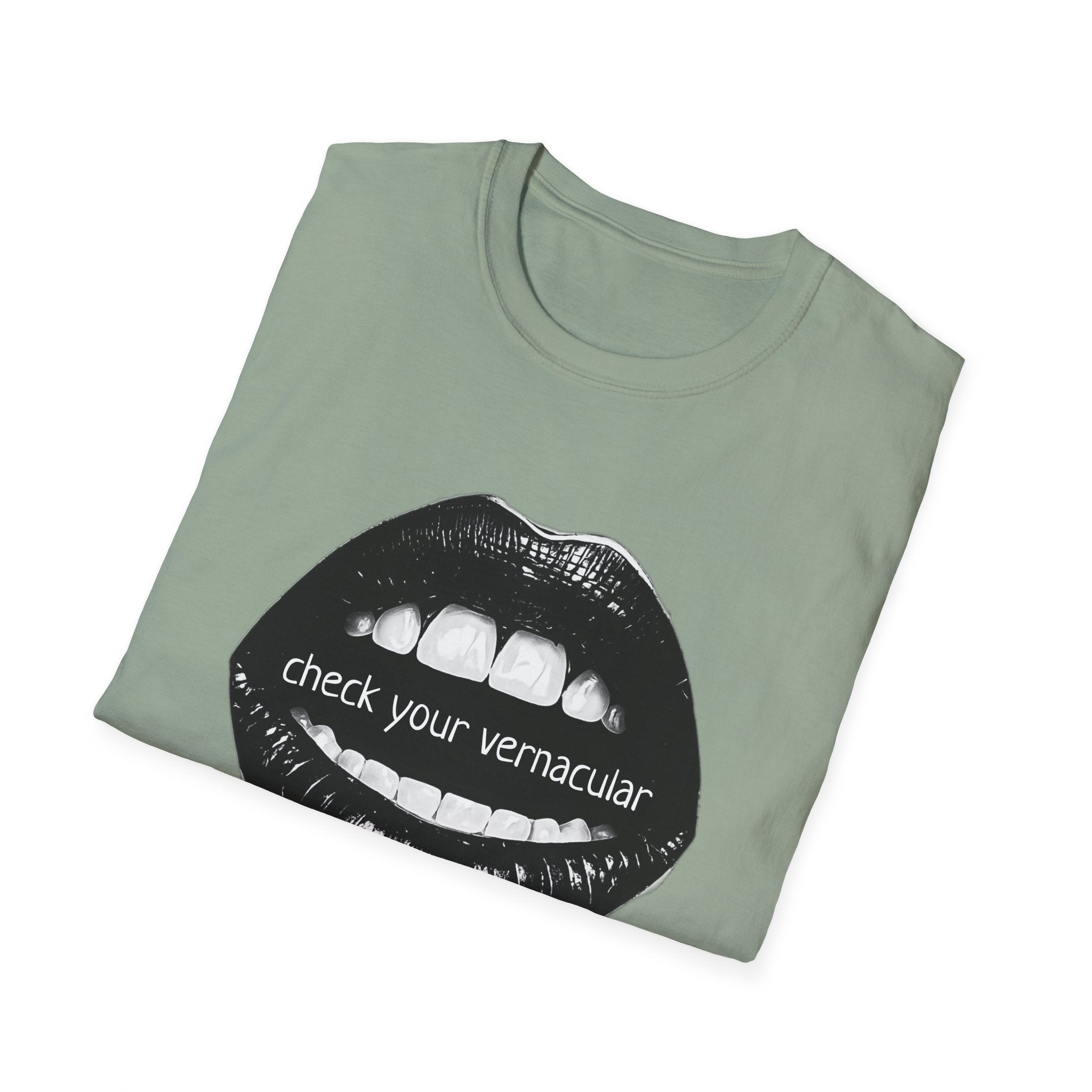 90s Music Lovers Gift Unisex Softstyle T-Shirt, TLC Lyrics Tee, Check Your Vernacular Shirt, Retro Music Fan Clothing, Vintage R&B Top