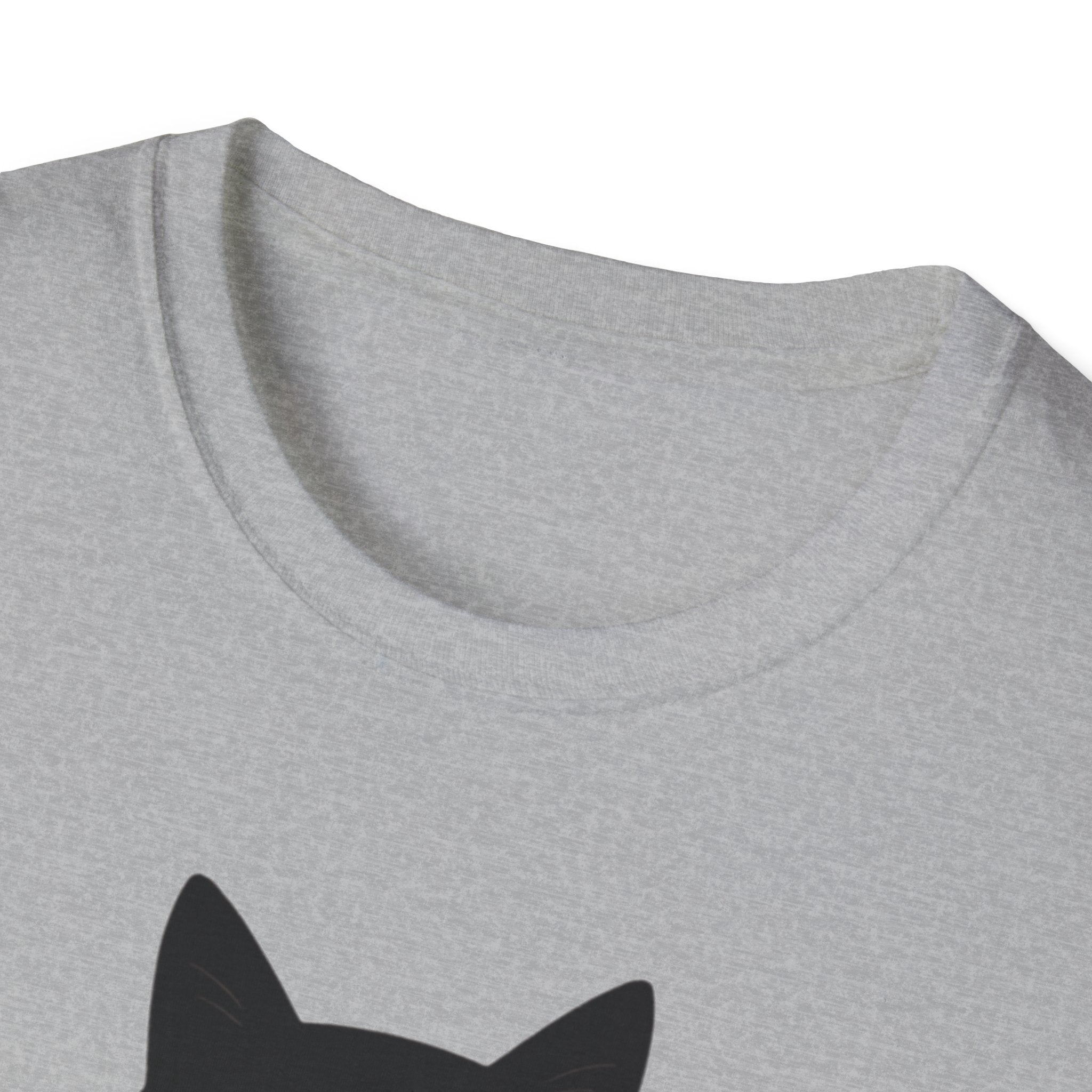 Political Cat Lover Unisex Softstyle T-Shirt, Anti-Trump Activist Tee, Social Justice Protest Shirt activist gift protest No Kings