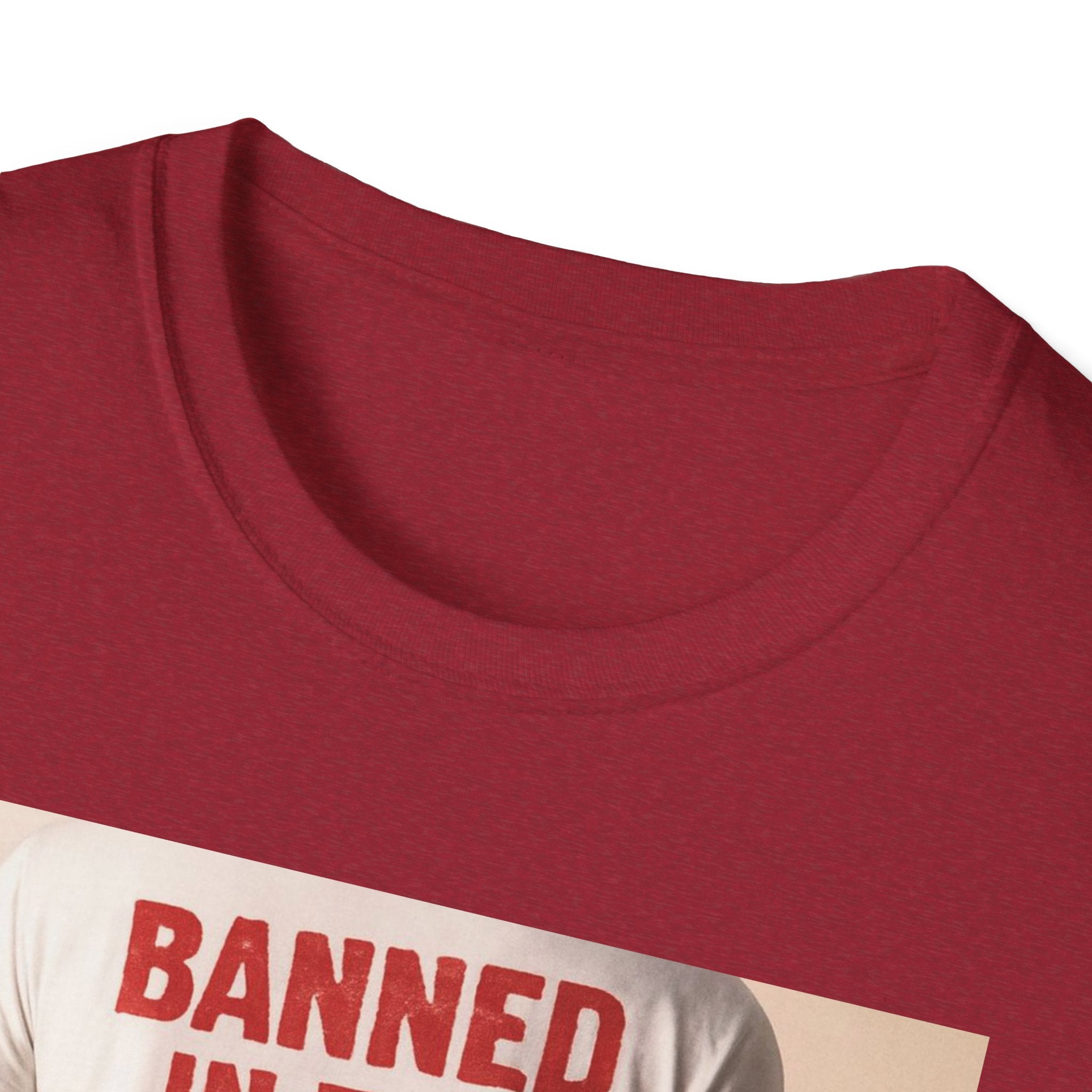 Banned in the USA Political Activist T-Shirt, Liberal Tee, Anti-Trump Christmas Gift, Unisex Softstyle Shirt Kimmel Colbert socia justice