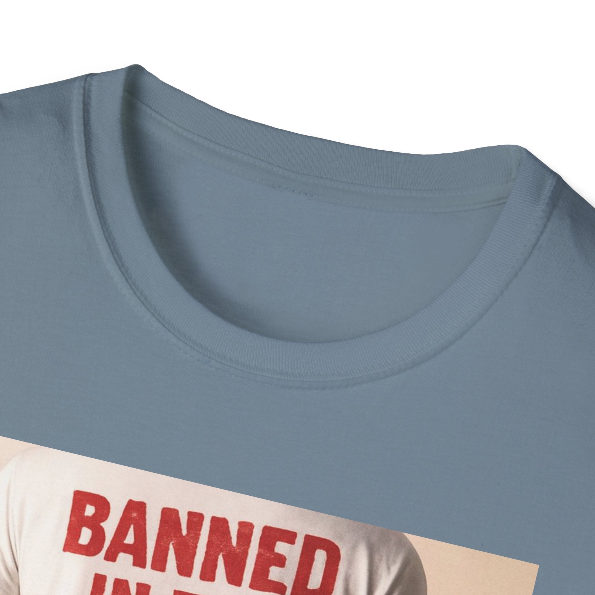 Banned in the USA Political Activist T-Shirt, Liberal Tee, Anti-Trump Christmas Gift, Unisex Softstyle Shirt Kimmel Colbert socia justice
