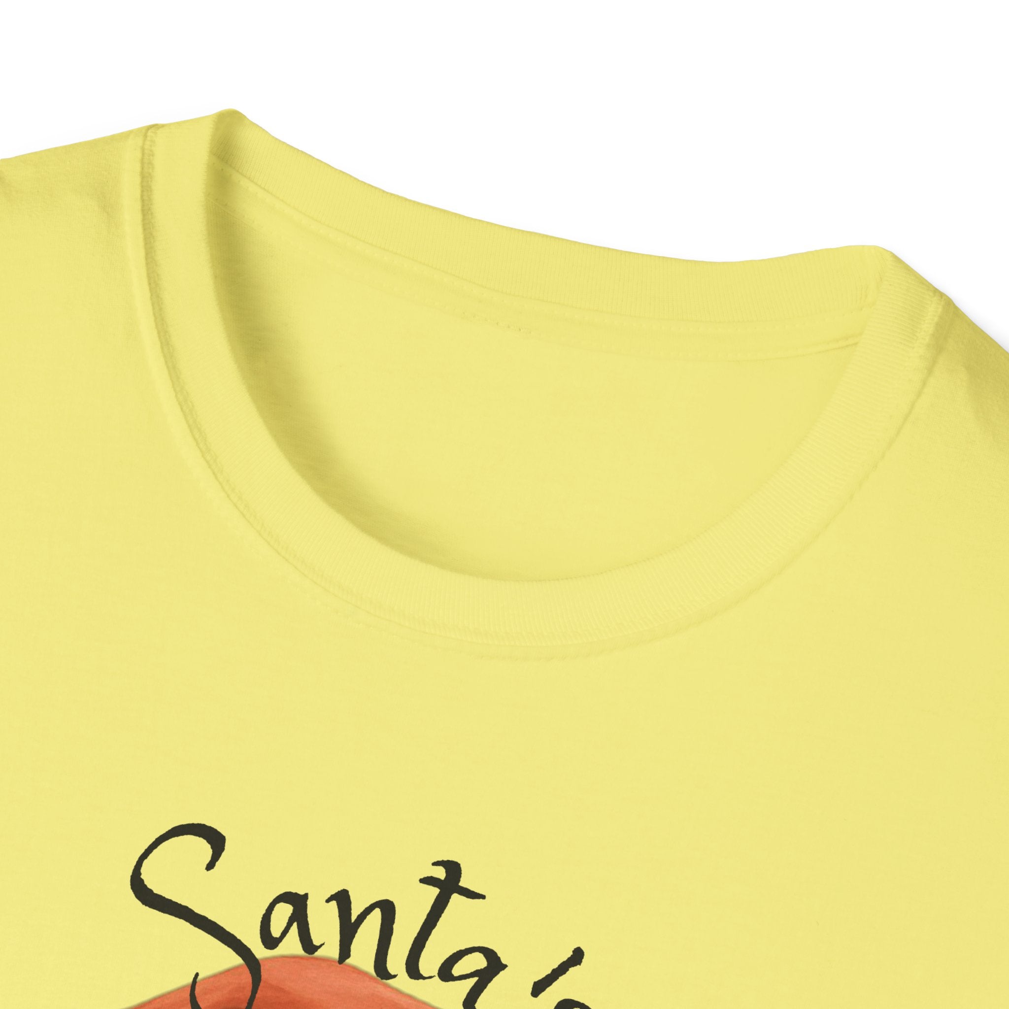 Santa Nurse Christmas T-Shirt, Santa's Favorite Nurse Top, Holiday Gifts for Nurses, Unisex Tee, RN Shirt, Healthcare Worker Apparel