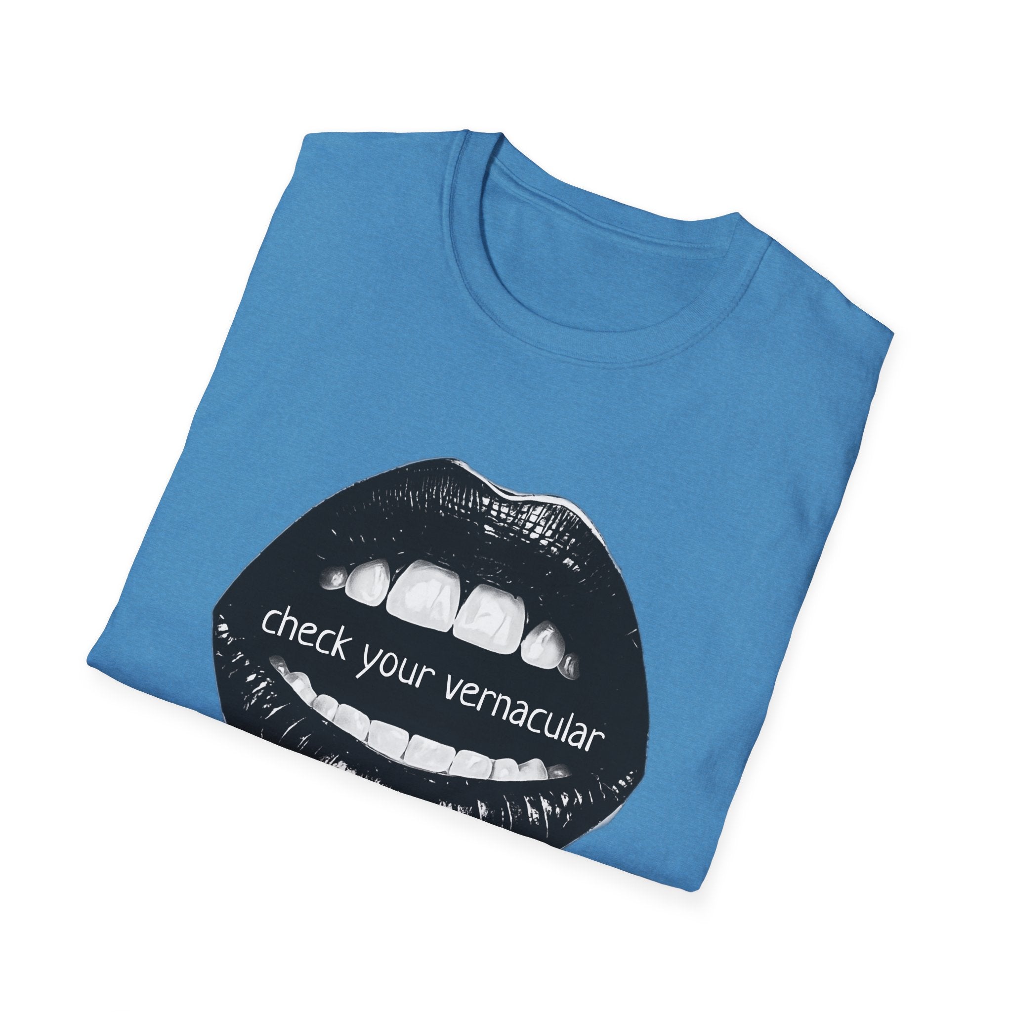 90s Music Lovers Gift Unisex Softstyle T-Shirt, TLC Lyrics Tee, Check Your Vernacular Shirt, Retro Music Fan Clothing, Vintage R&B Top
