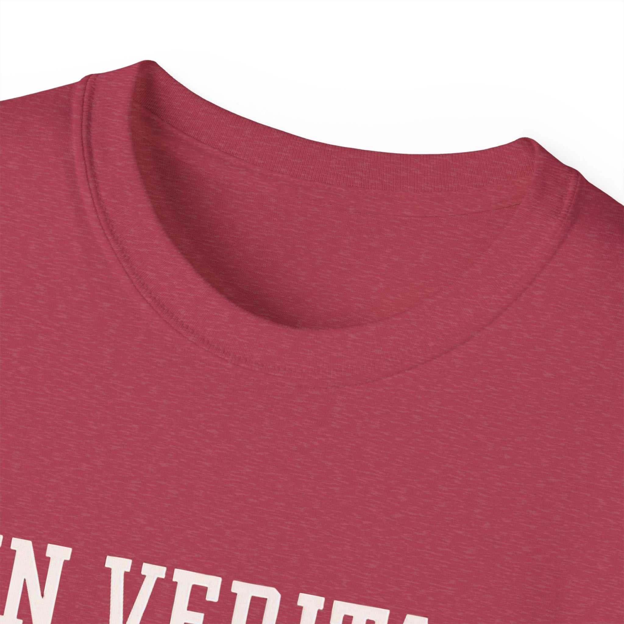 In Veritas We Trust Harvard Anti Trump, Protest Shirt, Political Activist Gift, Statement Tee, College Shirt