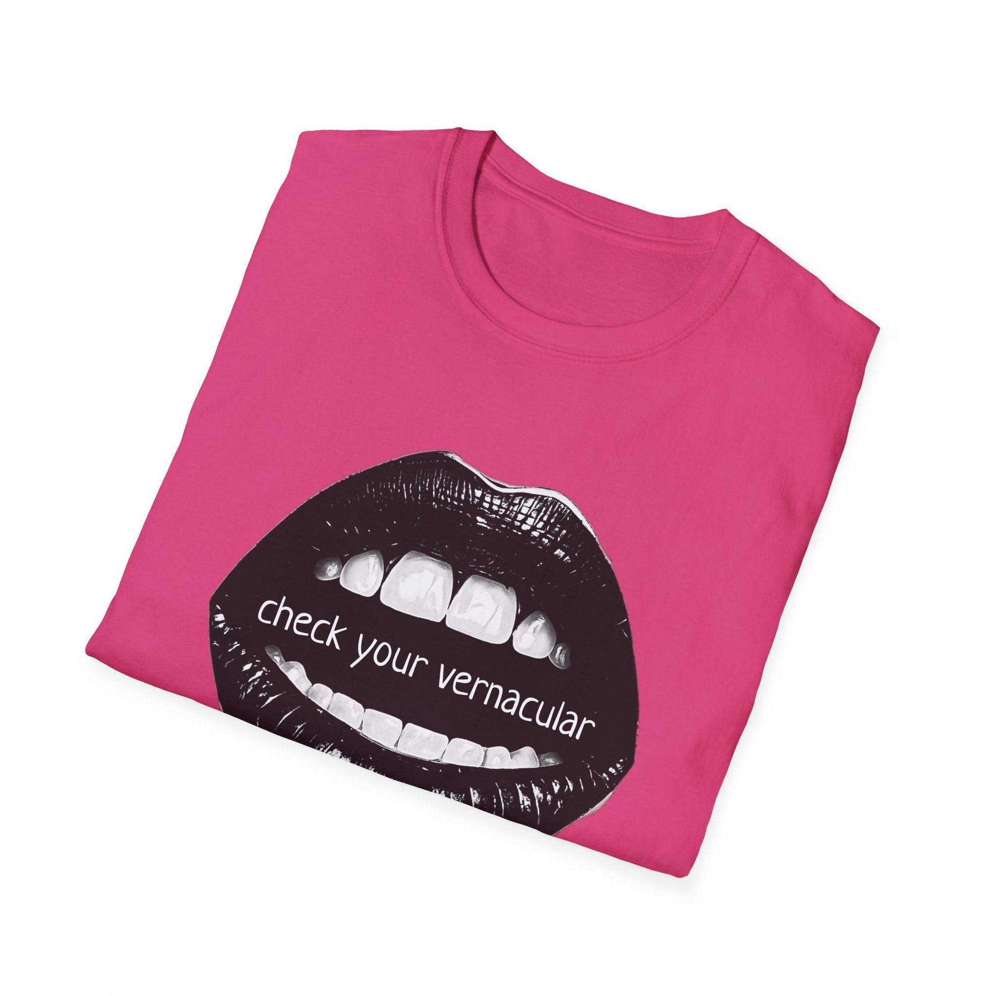 90s Music Lovers Gift Unisex Softstyle T-Shirt, TLC Lyrics Tee, Check Your Vernacular Shirt, Retro Music Fan Clothing, Vintage R&B Top