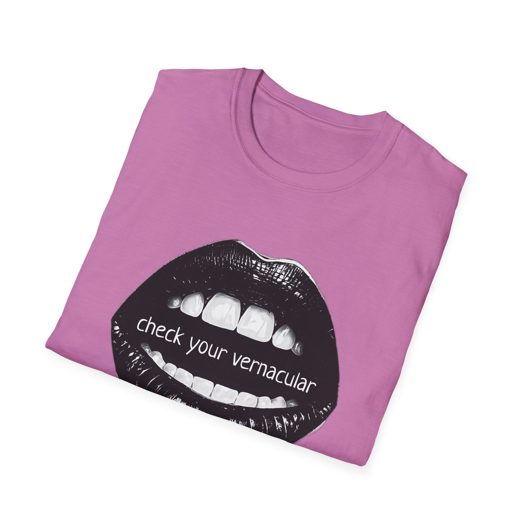 90s Music Lovers Gift Unisex Softstyle T-Shirt, TLC Lyrics Tee, Check Your Vernacular Shirt, Retro Music Fan Clothing, Vintage R&B Top