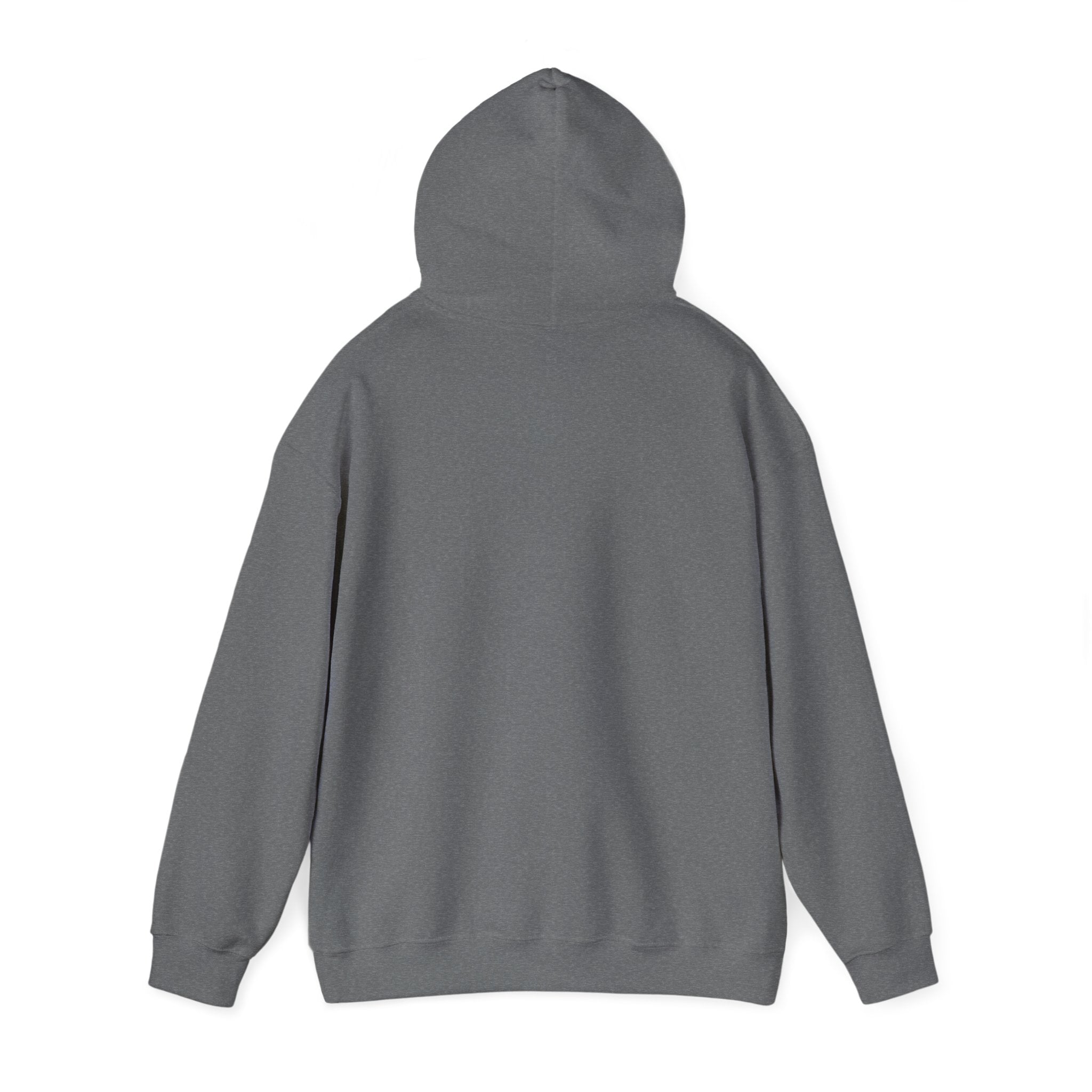 8647 anti Trump Political Activist Sweatshirt, Anti-Trump Hoodie, Social Justice Protest, Human Rights, No Kings end Tyranny, Unisex