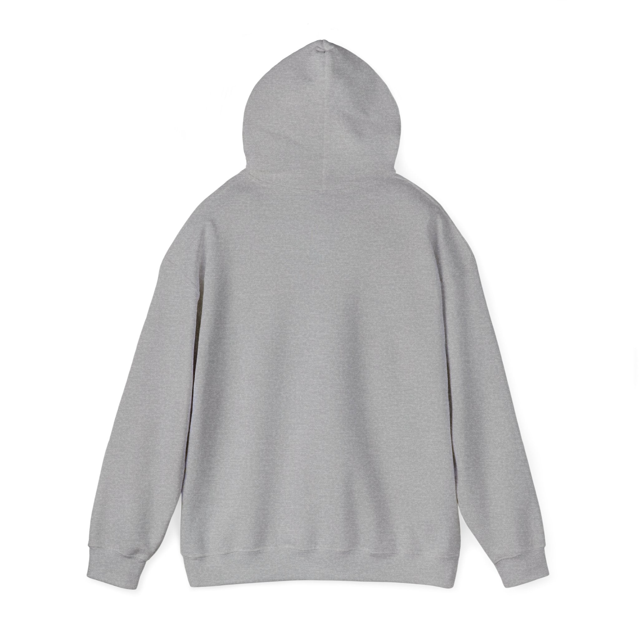 8647 anti Trump Political Activist Sweatshirt, Anti-Trump Hoodie, Social Justice Protest, Human Rights, No Kings end Tyranny, Unisex