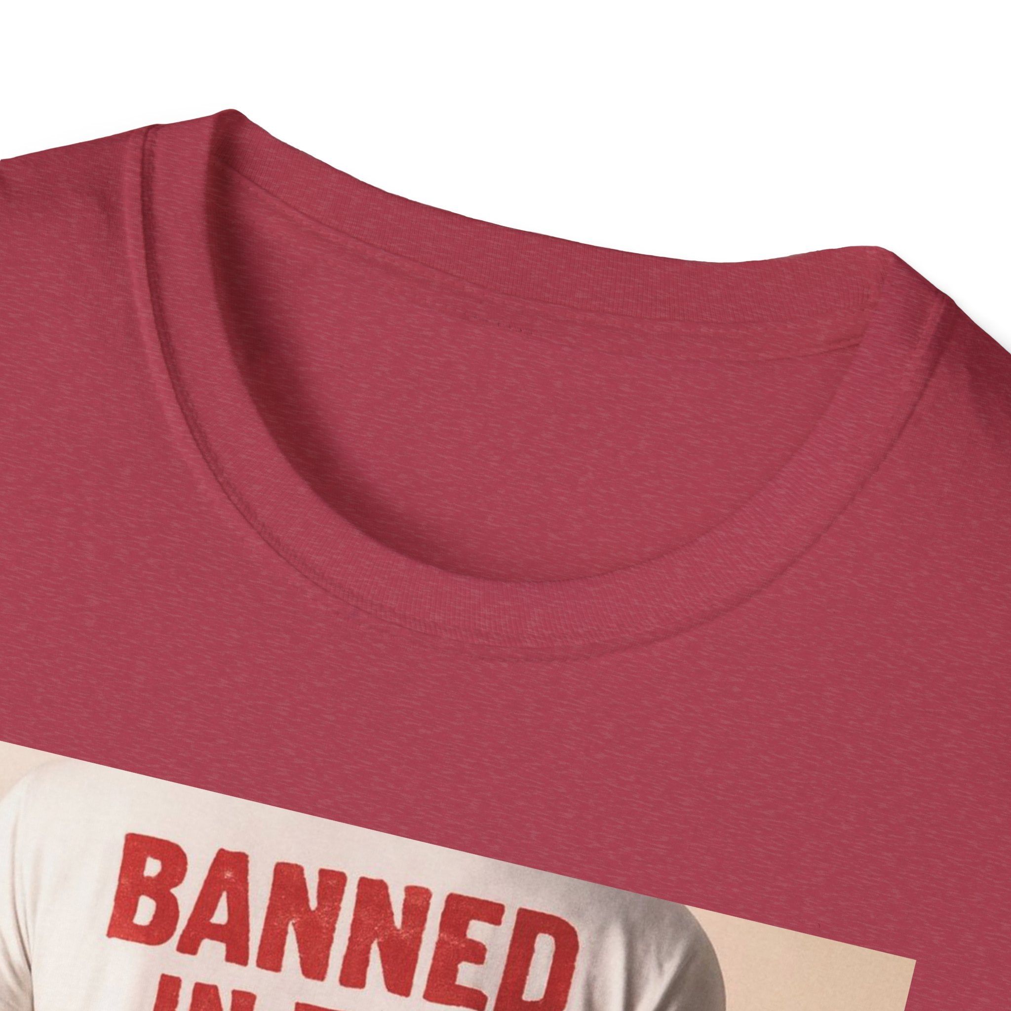 Banned in the USA Political Activist T-Shirt, Liberal Tee, Anti-Trump Christmas Gift, Unisex Softstyle Shirt Kimmel Colbert socia justice