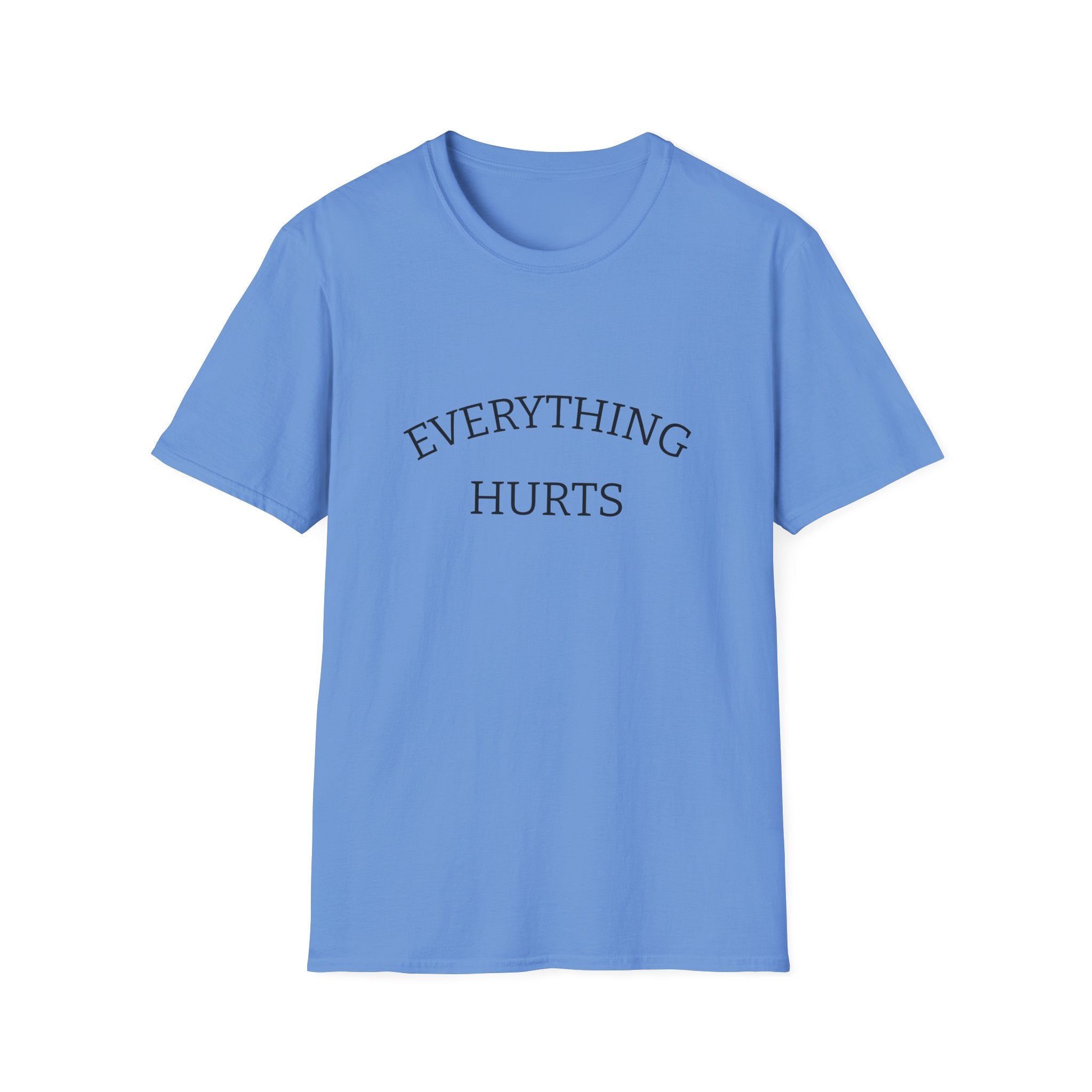 Everything Hurts Funny Workout Fitness gym Unisex Softstyle T-Shirt, Retirement Gift, Getting Old, Fitness Gift aches and pains