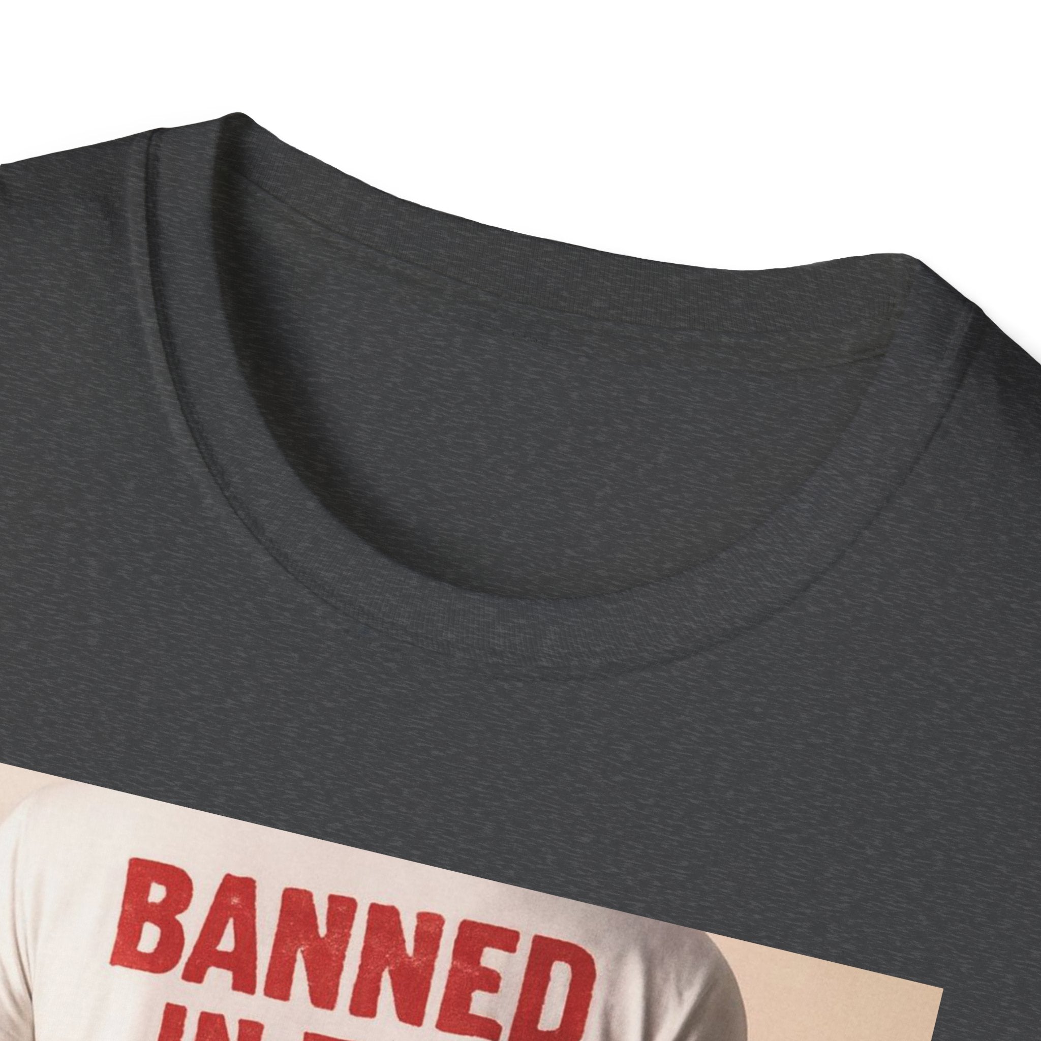 Banned in the USA Political Activist T-Shirt, Liberal Tee, Anti-Trump Christmas Gift, Unisex Softstyle Shirt Kimmel Colbert socia justice