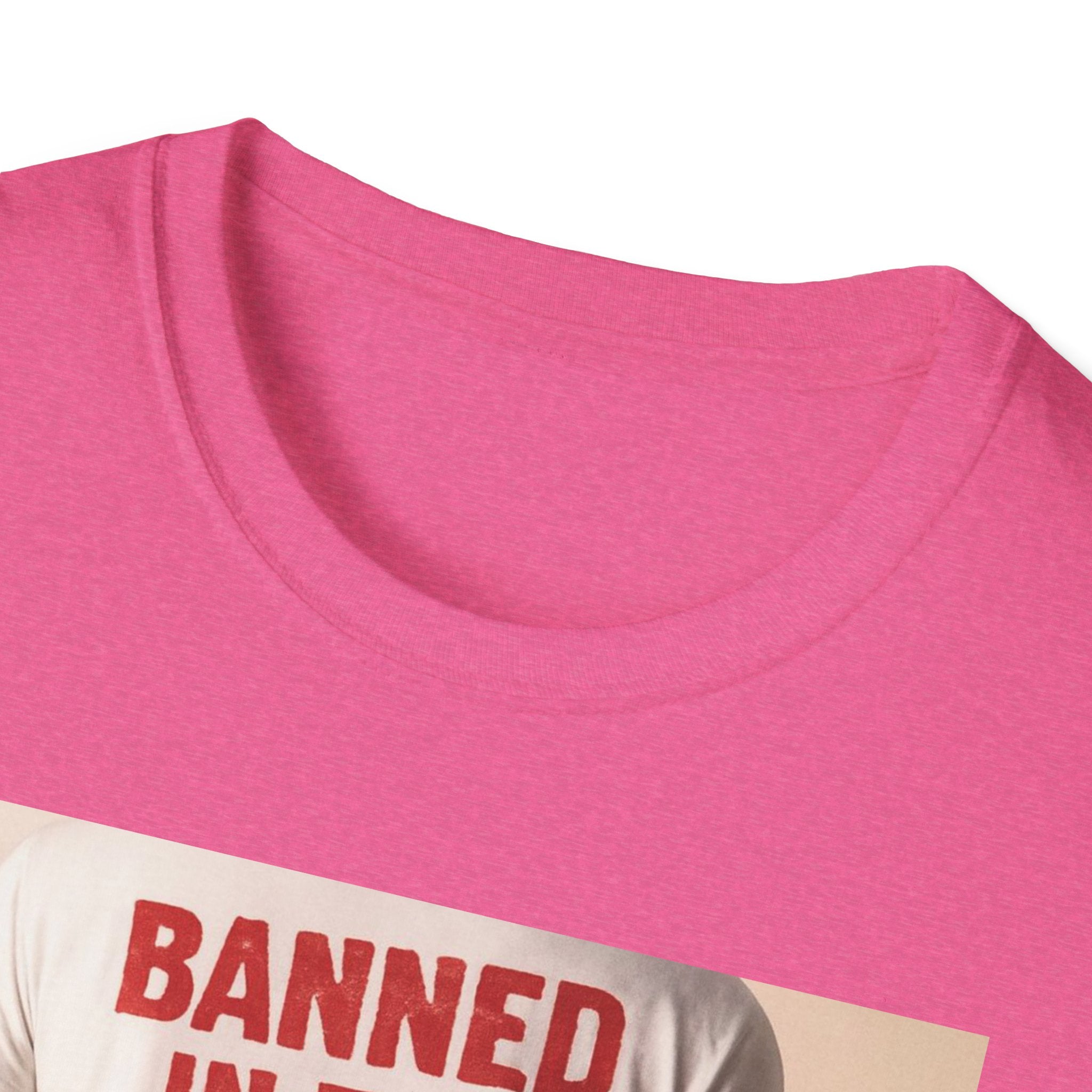 Banned in the USA Political Activist T-Shirt, Liberal Tee, Anti-Trump Christmas Gift, Unisex Softstyle Shirt Kimmel Colbert socia justice