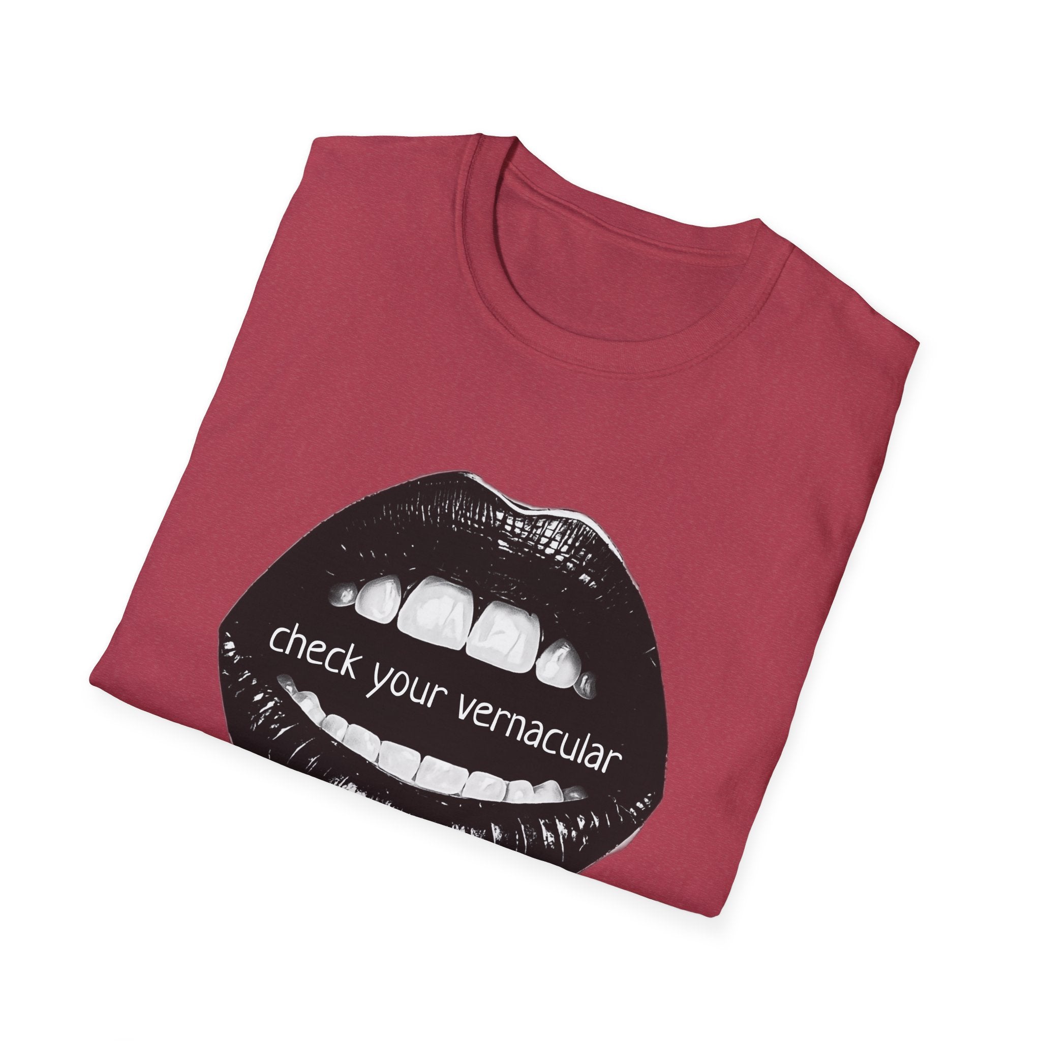 90s Music Lovers Gift Unisex Softstyle T-Shirt, TLC Lyrics Tee, Check Your Vernacular Shirt, Retro Music Fan Clothing, Vintage R&B Top
