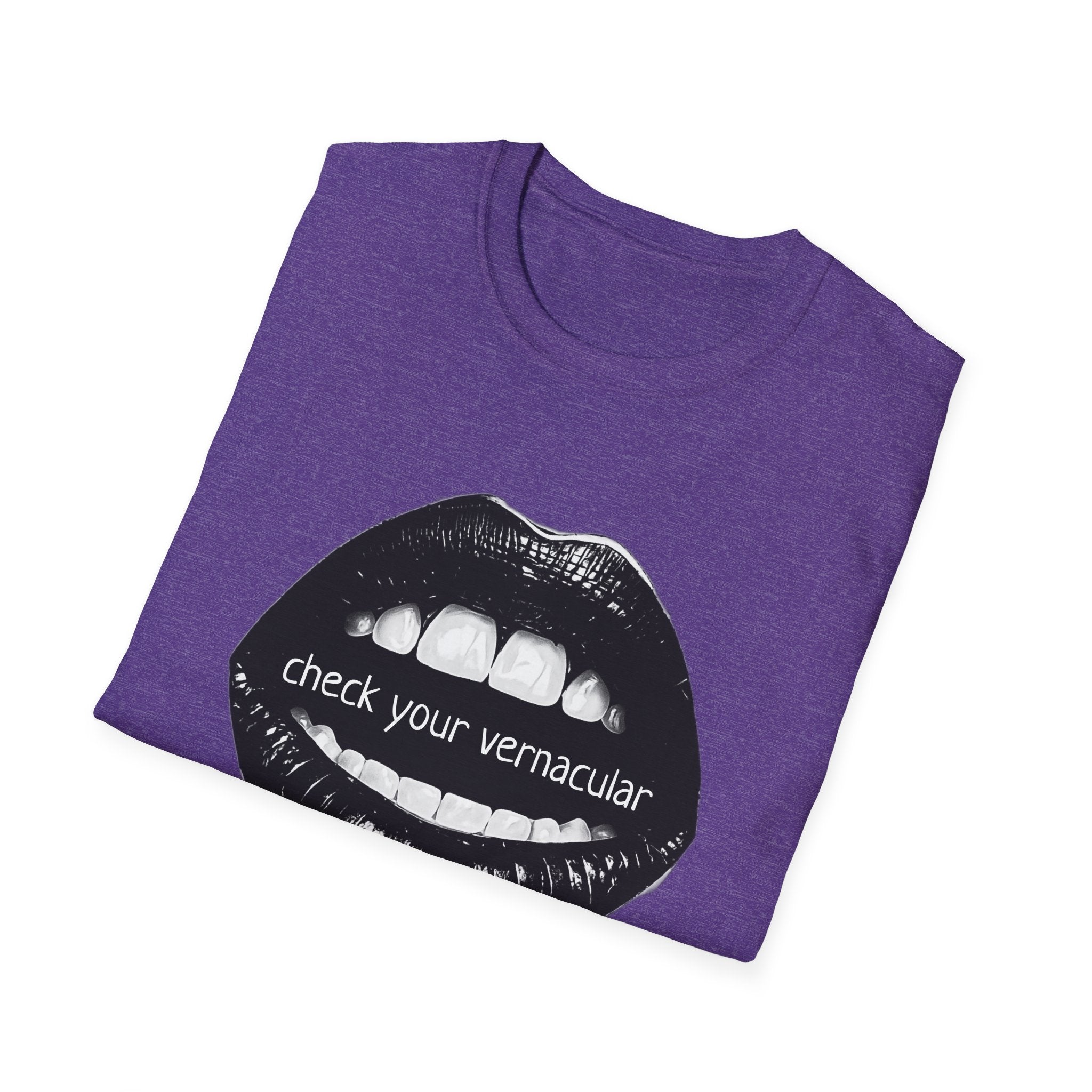 90s Music Lovers Gift Unisex Softstyle T-Shirt, TLC Lyrics Tee, Check Your Vernacular Shirt, Retro Music Fan Clothing, Vintage R&B Top