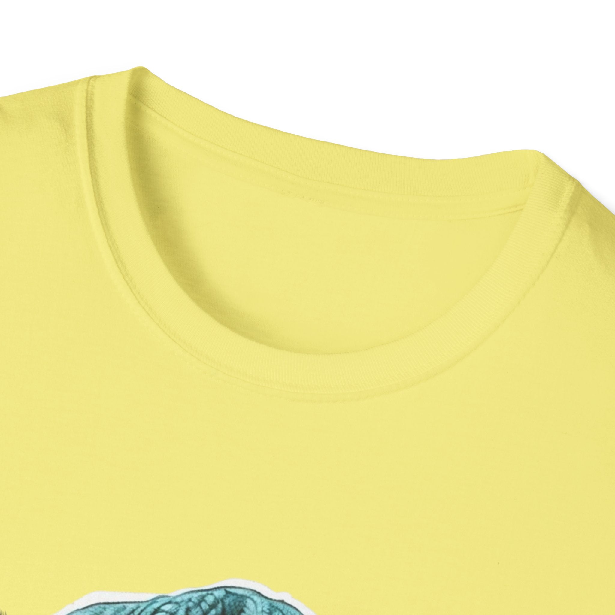 Cool cat with a Knit Cap Cat lovers gift unisex tshirt