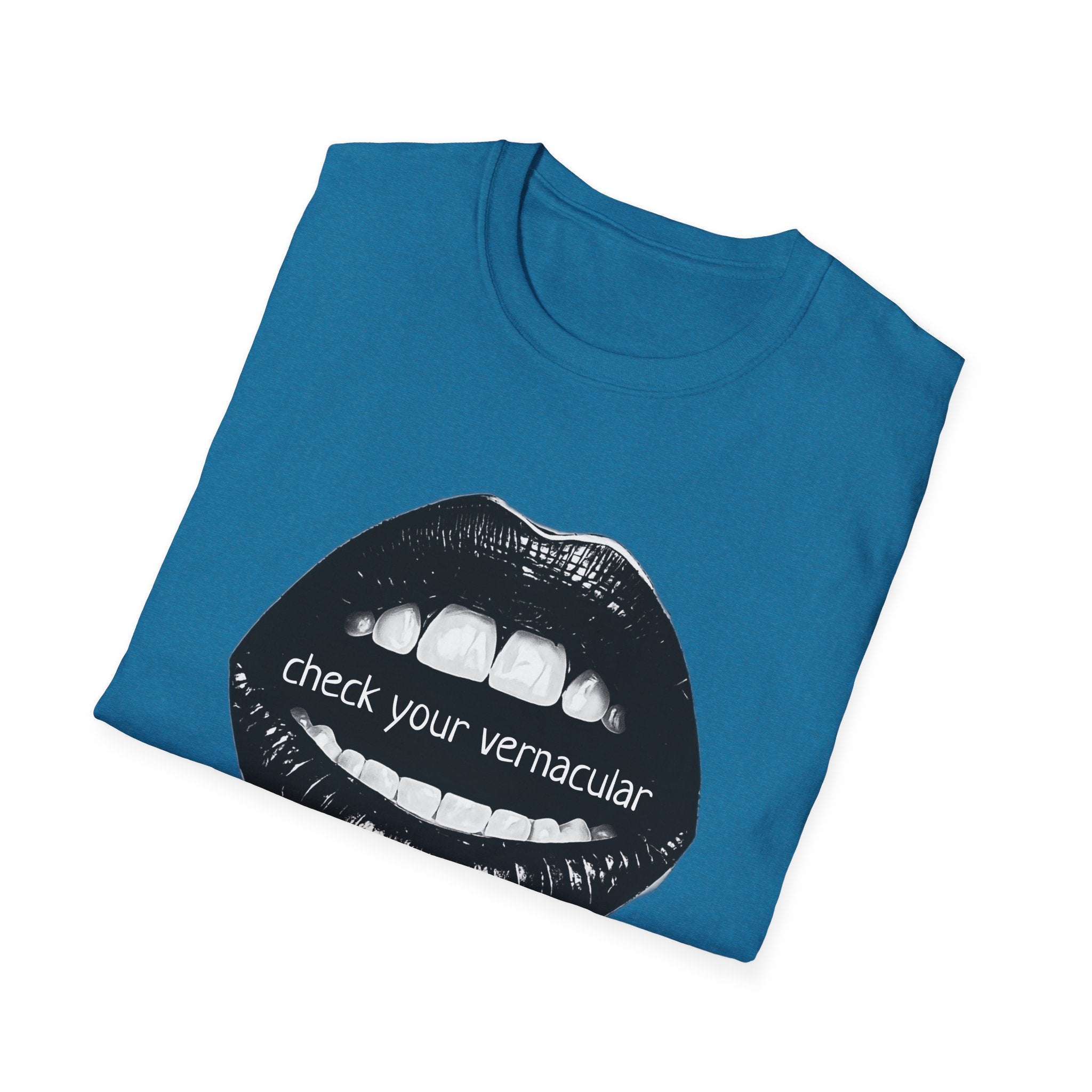 90s Music Lovers Gift Unisex Softstyle T-Shirt, TLC Lyrics Tee, Check Your Vernacular Shirt, Retro Music Fan Clothing, Vintage R&B Top