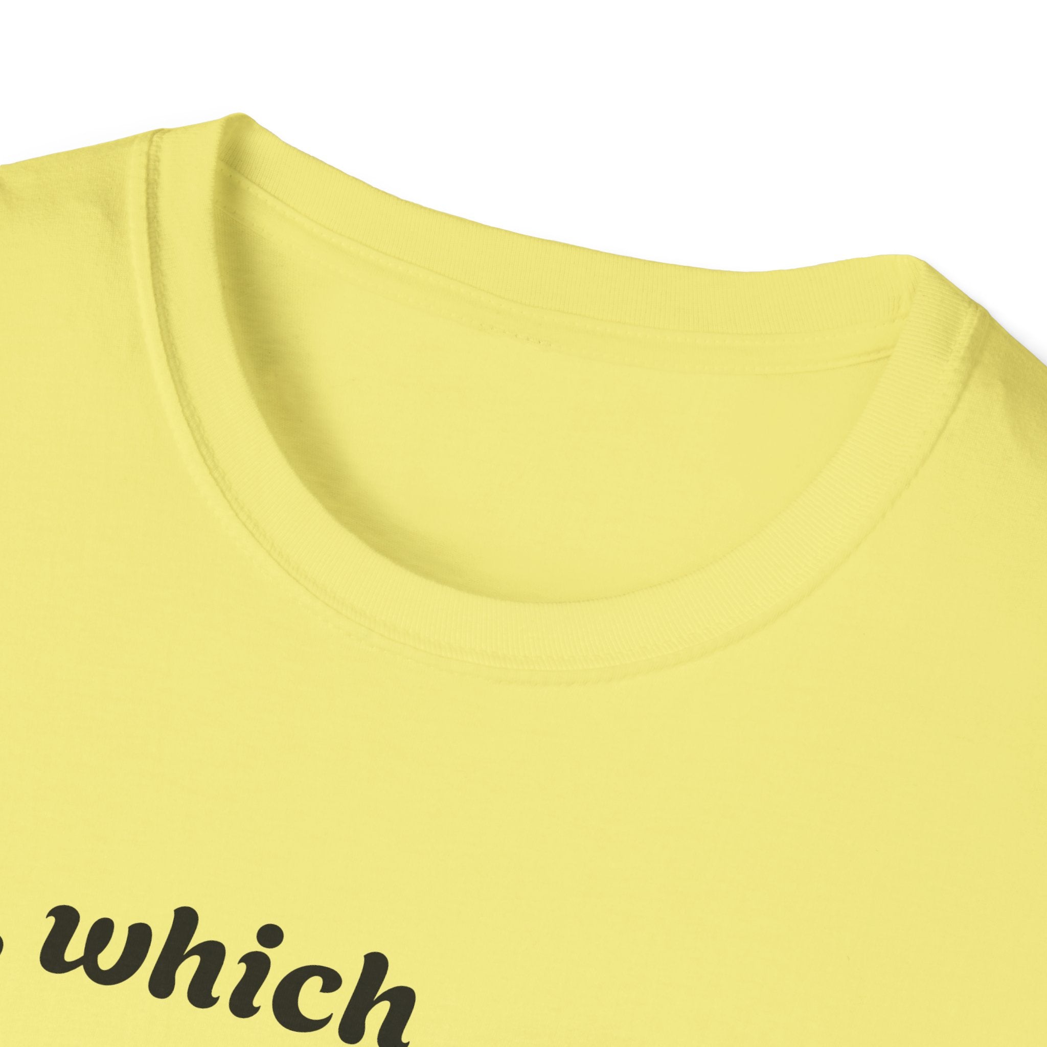 So what crimes get you deported or elected Activist Unisex Soft T-Shirt, Protest Tee, Resistance Shirt, Social Justice, Anti Trump Clothing