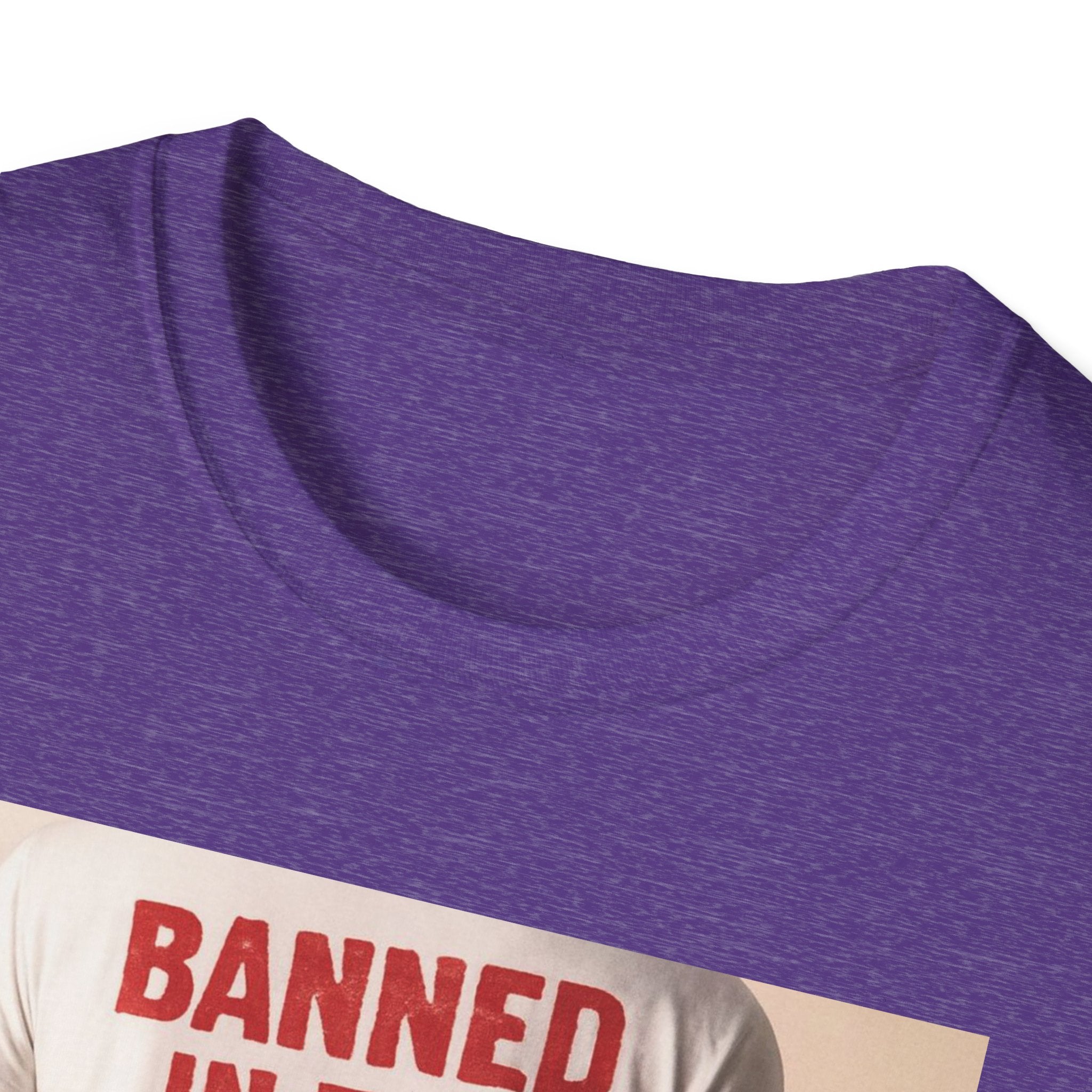Banned in the USA Political Activist T-Shirt, Liberal Tee, Anti-Trump Christmas Gift, Unisex Softstyle Shirt Kimmel Colbert socia justice