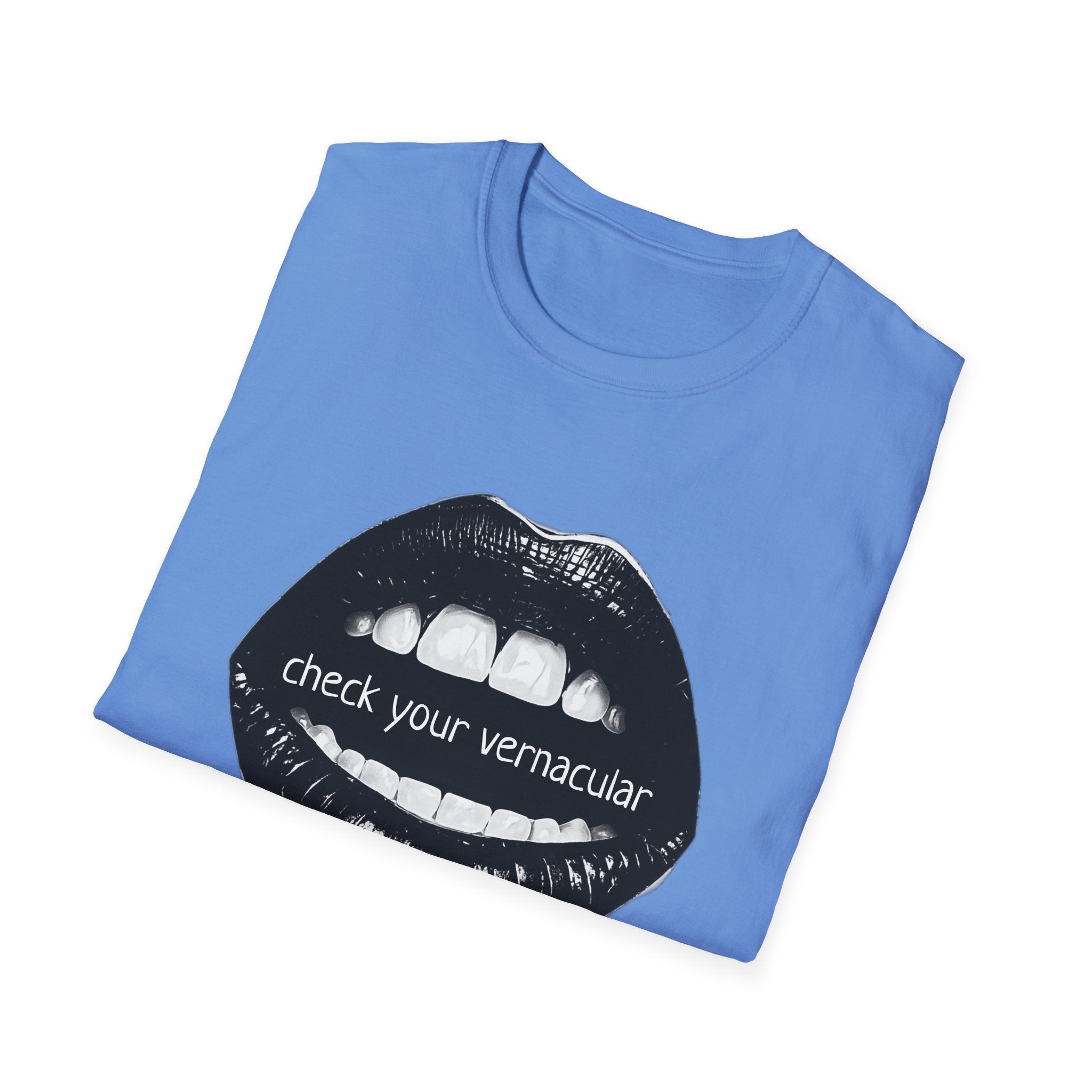 90s Music Lovers Gift Unisex Softstyle T-Shirt, TLC Lyrics Tee, Check Your Vernacular Shirt, Retro Music Fan Clothing, Vintage R&B Top