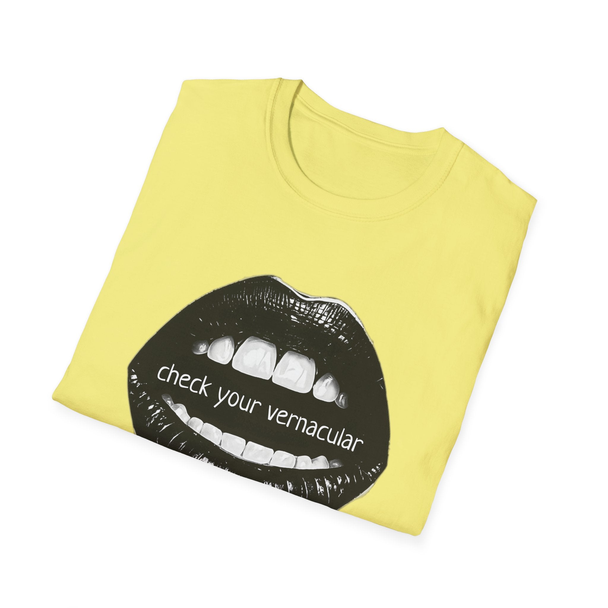 90s Music Lovers Gift Unisex Softstyle T-Shirt, TLC Lyrics Tee, Check Your Vernacular Shirt, Retro Music Fan Clothing, Vintage R&B Top