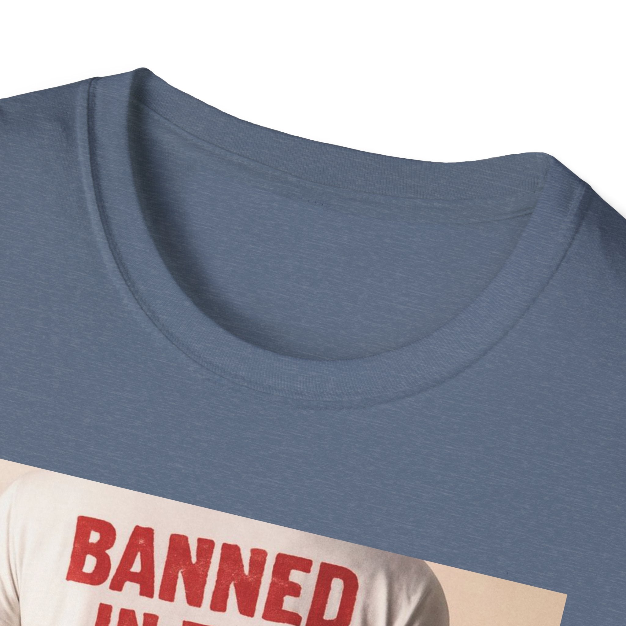 Banned in the USA Political Activist T-Shirt, Liberal Tee, Anti-Trump Christmas Gift, Unisex Softstyle Shirt Kimmel Colbert socia justice