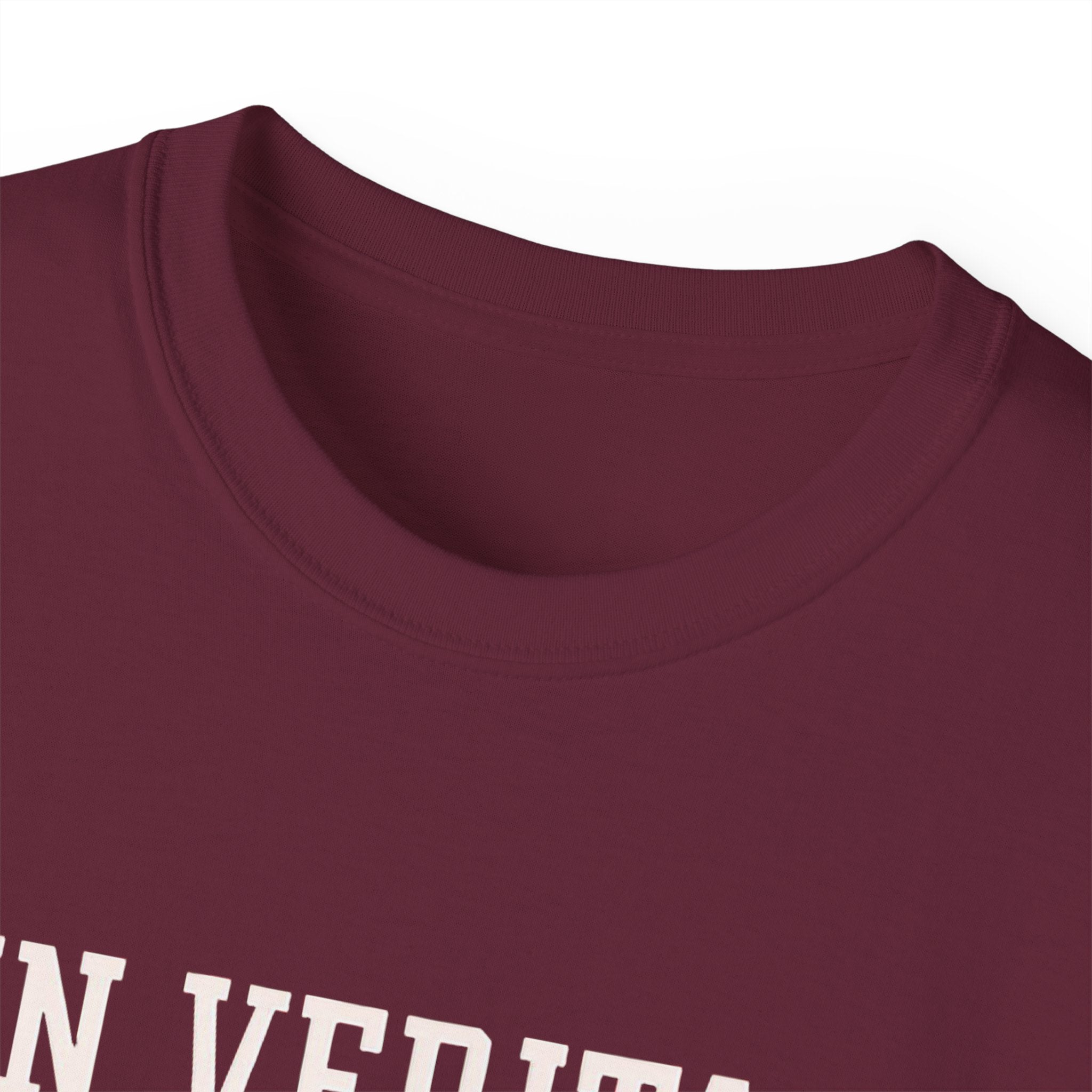 In Veritas We Trust Harvard Anti Trump, Protest Shirt, Political Activist Gift, Statement Tee, College Shirt