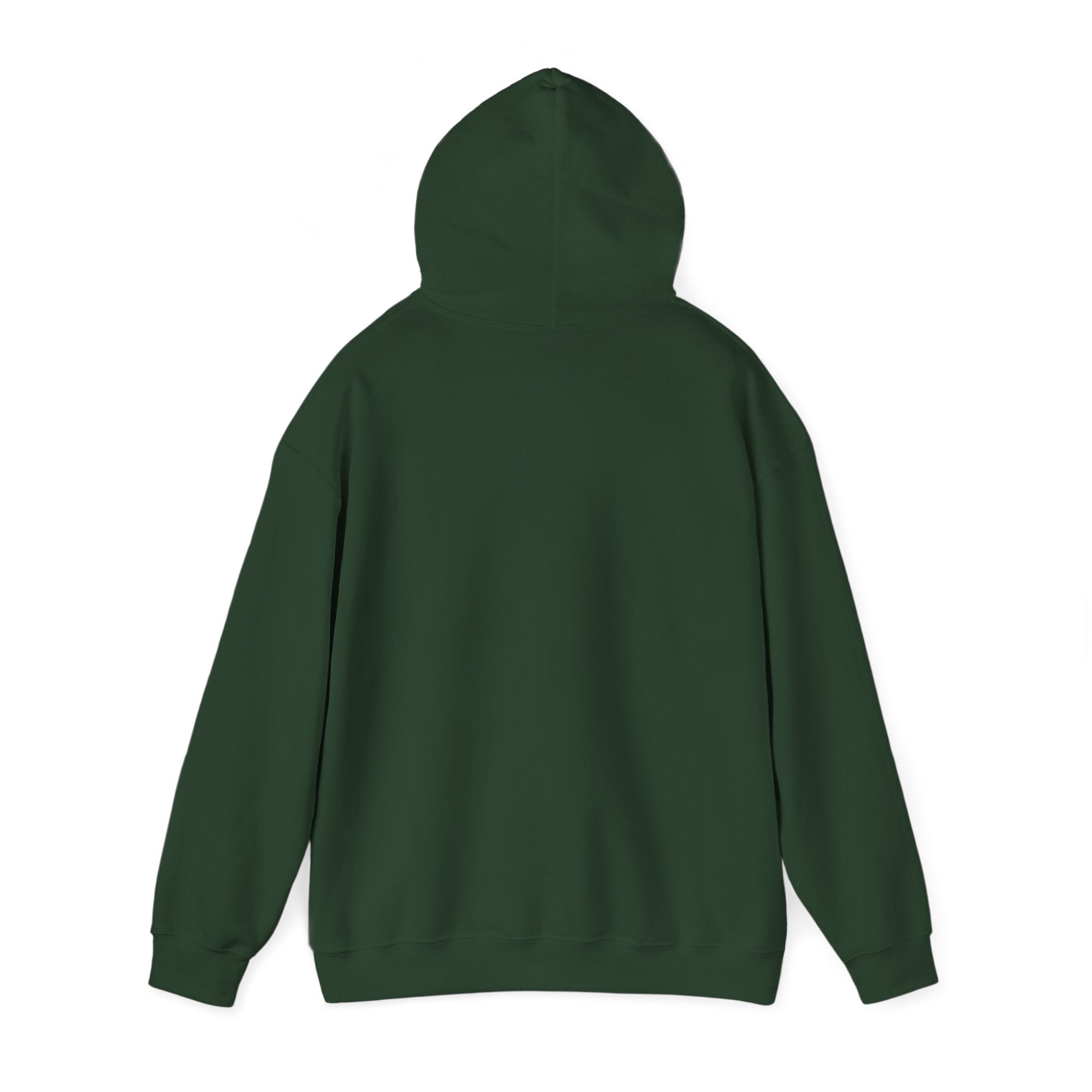 8647 anti Trump Political Activist Sweatshirt, Anti-Trump Hoodie, Social Justice Protest, Human Rights, No Kings end Tyranny, Unisex