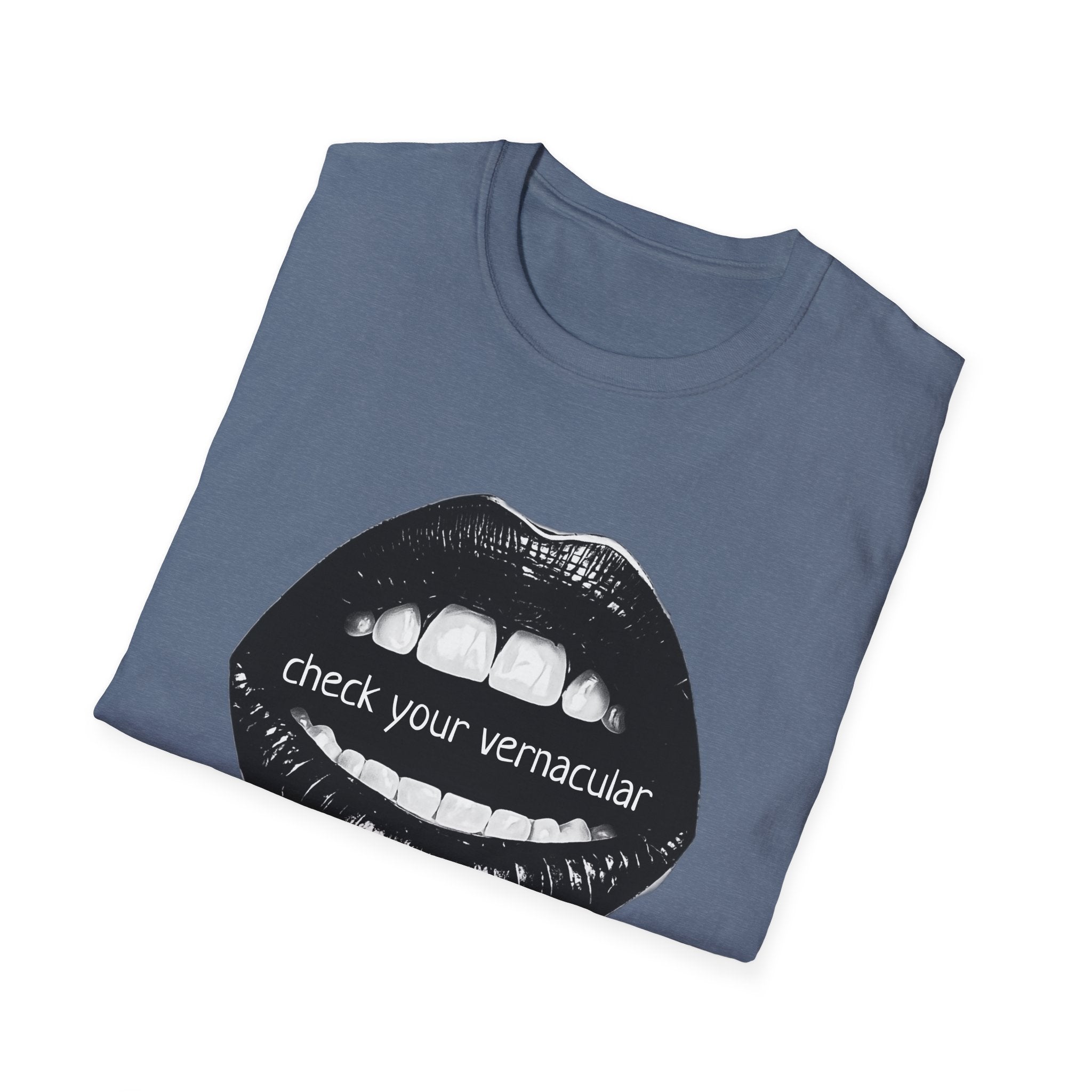 90s Music Lovers Gift Unisex Softstyle T-Shirt, TLC Lyrics Tee, Check Your Vernacular Shirt, Retro Music Fan Clothing, Vintage R&B Top