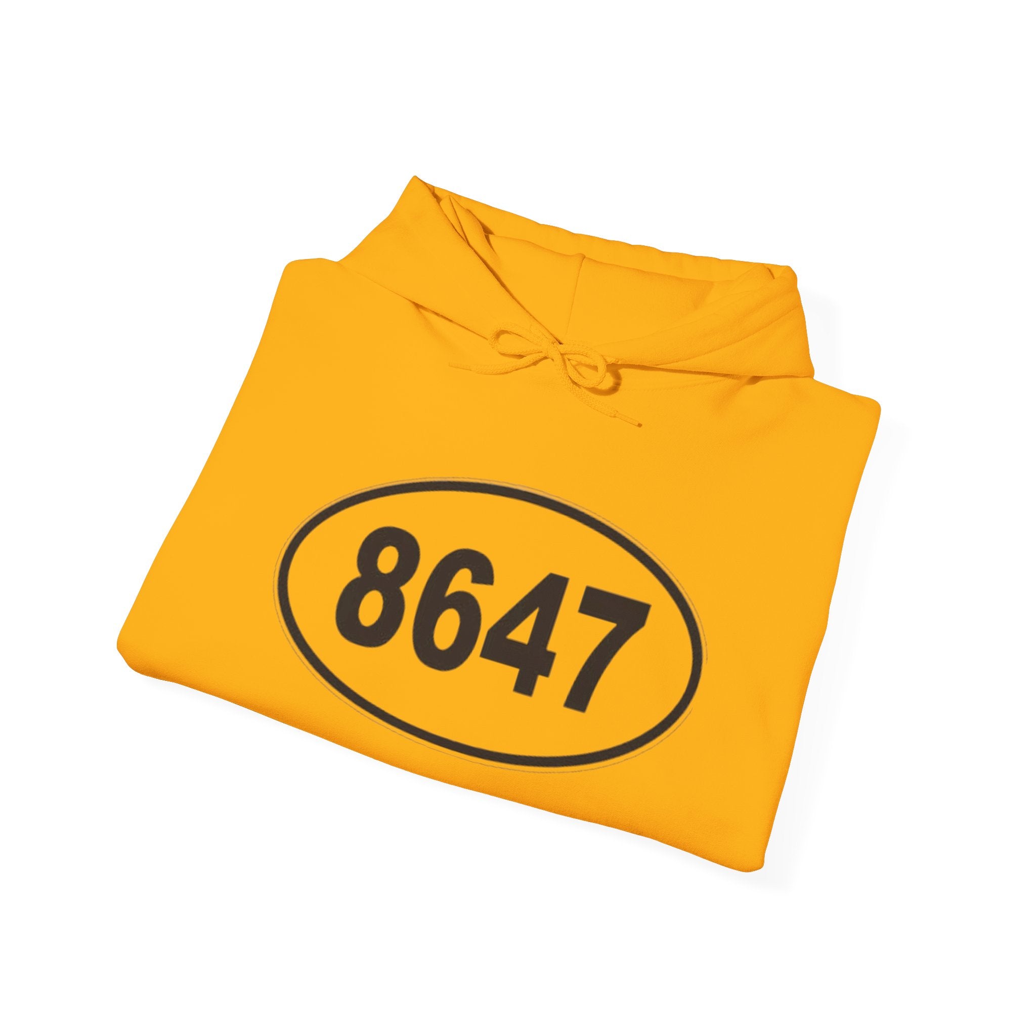 8647 anti Trump Political Activist Sweatshirt, Anti-Trump Hoodie, Social Justice Protest, Human Rights, No Kings end Tyranny, Unisex