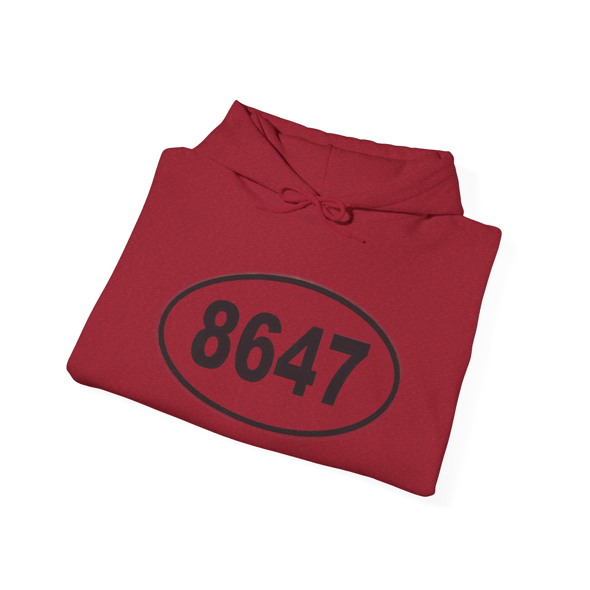8647 anti Trump Political Activist Sweatshirt, Anti-Trump Hoodie, Social Justice Protest, Human Rights, No Kings end Tyranny, Unisex