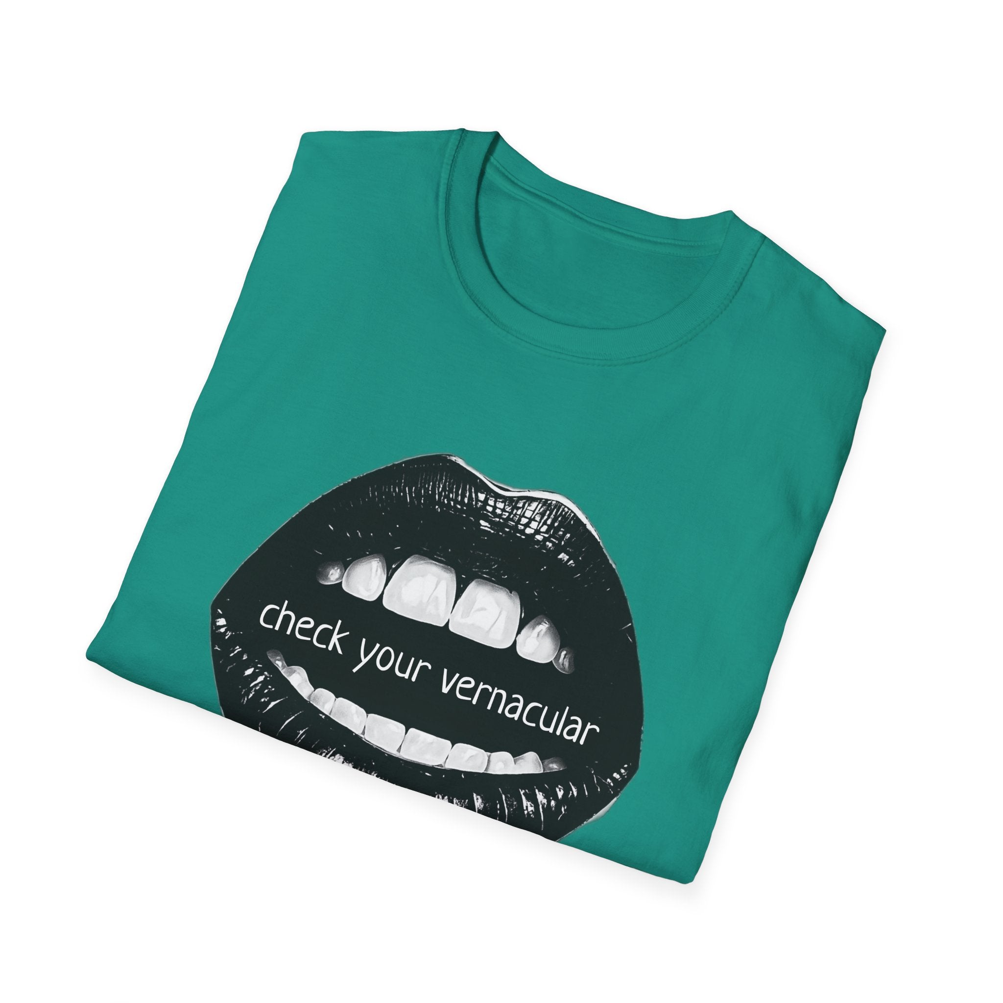 90s Music Lovers Gift Unisex Softstyle T-Shirt, TLC Lyrics Tee, Check Your Vernacular Shirt, Retro Music Fan Clothing, Vintage R&B Top