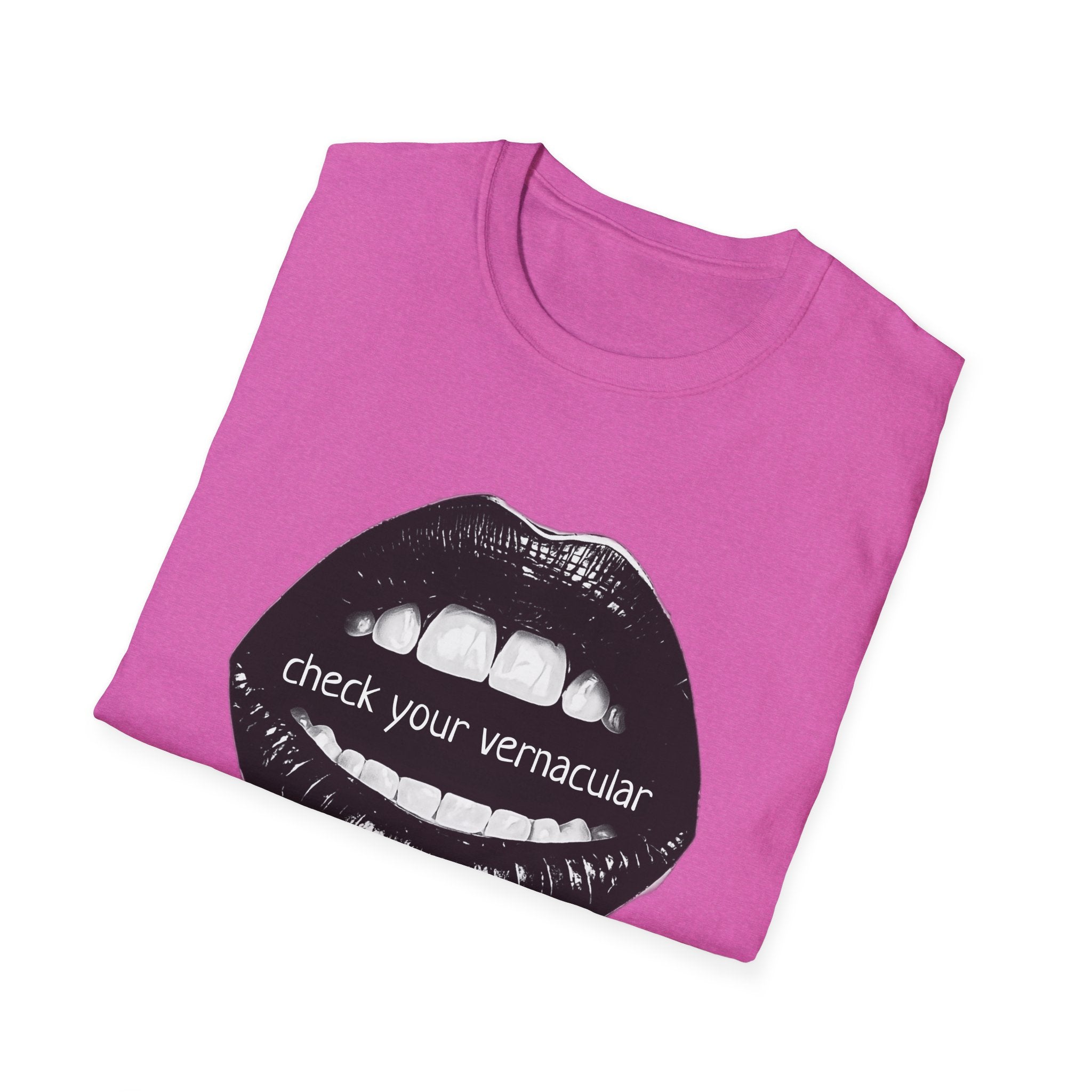 90s Music Lovers Gift Unisex Softstyle T-Shirt, TLC Lyrics Tee, Check Your Vernacular Shirt, Retro Music Fan Clothing, Vintage R&B Top