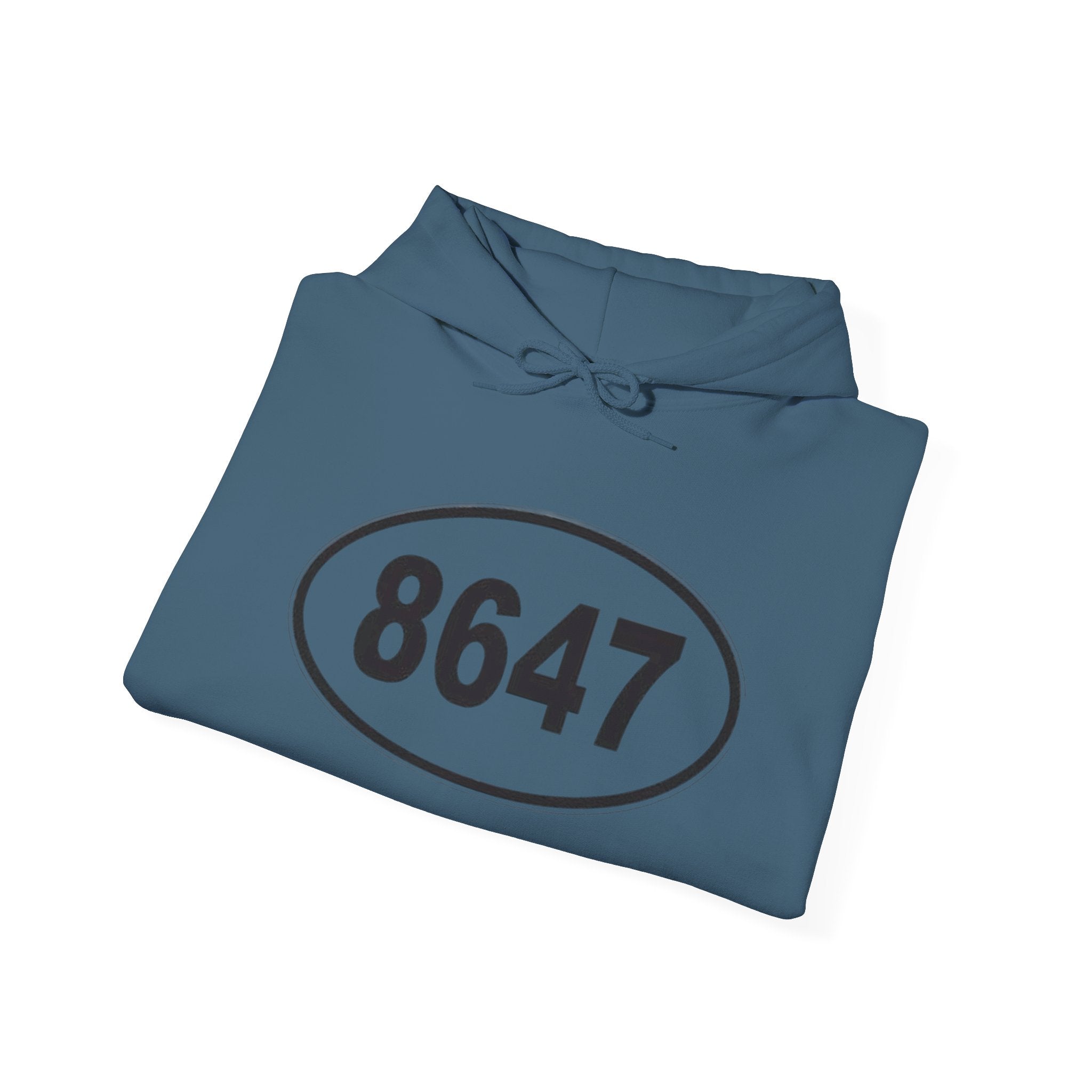 8647 anti Trump Political Activist Sweatshirt, Anti-Trump Hoodie, Social Justice Protest, Human Rights, No Kings end Tyranny, Unisex