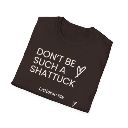 Shattuck Street Littleton Ma Unisex Softstyle T-Shirt