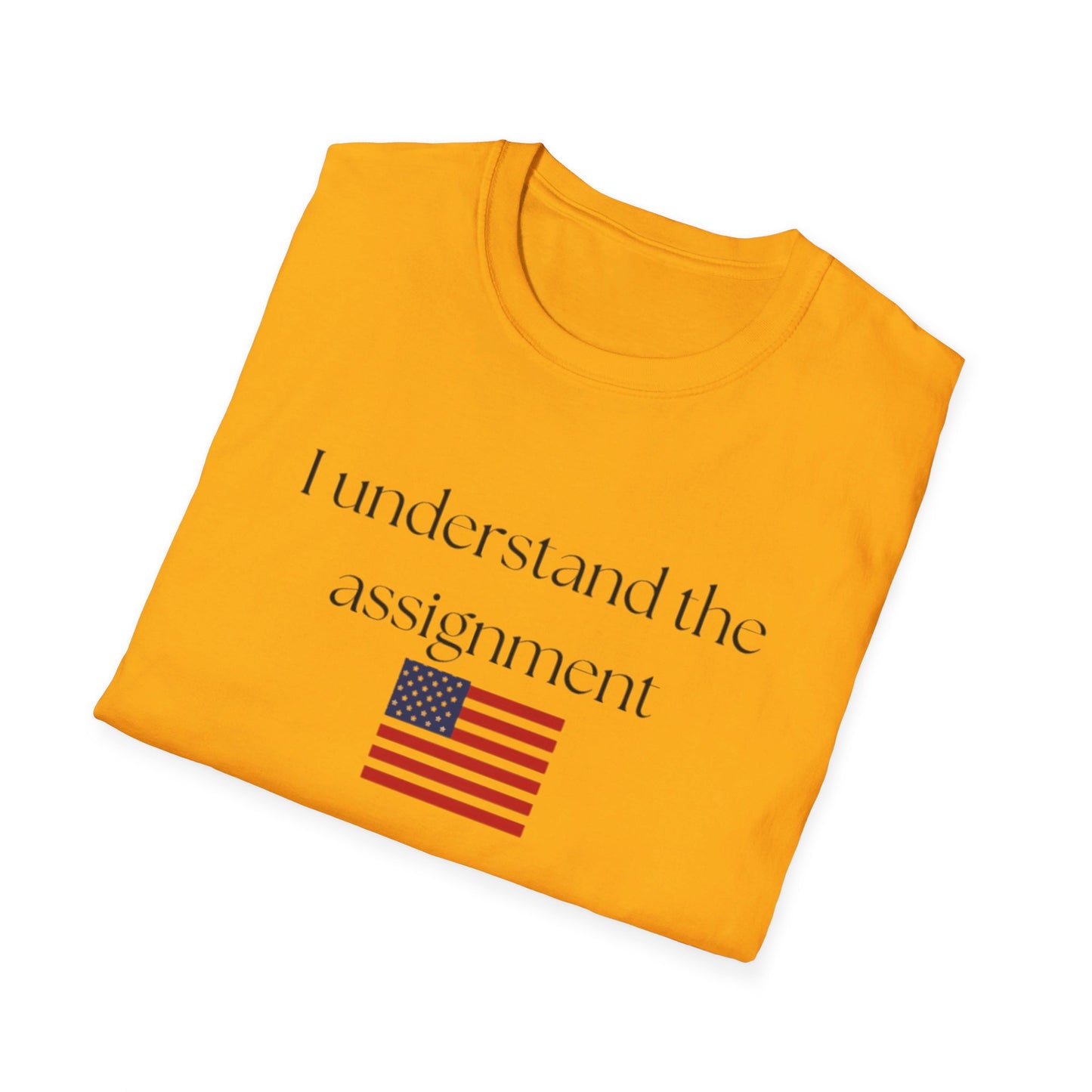 I understand the assignment and flag Unisex Softstyle T-Shirt