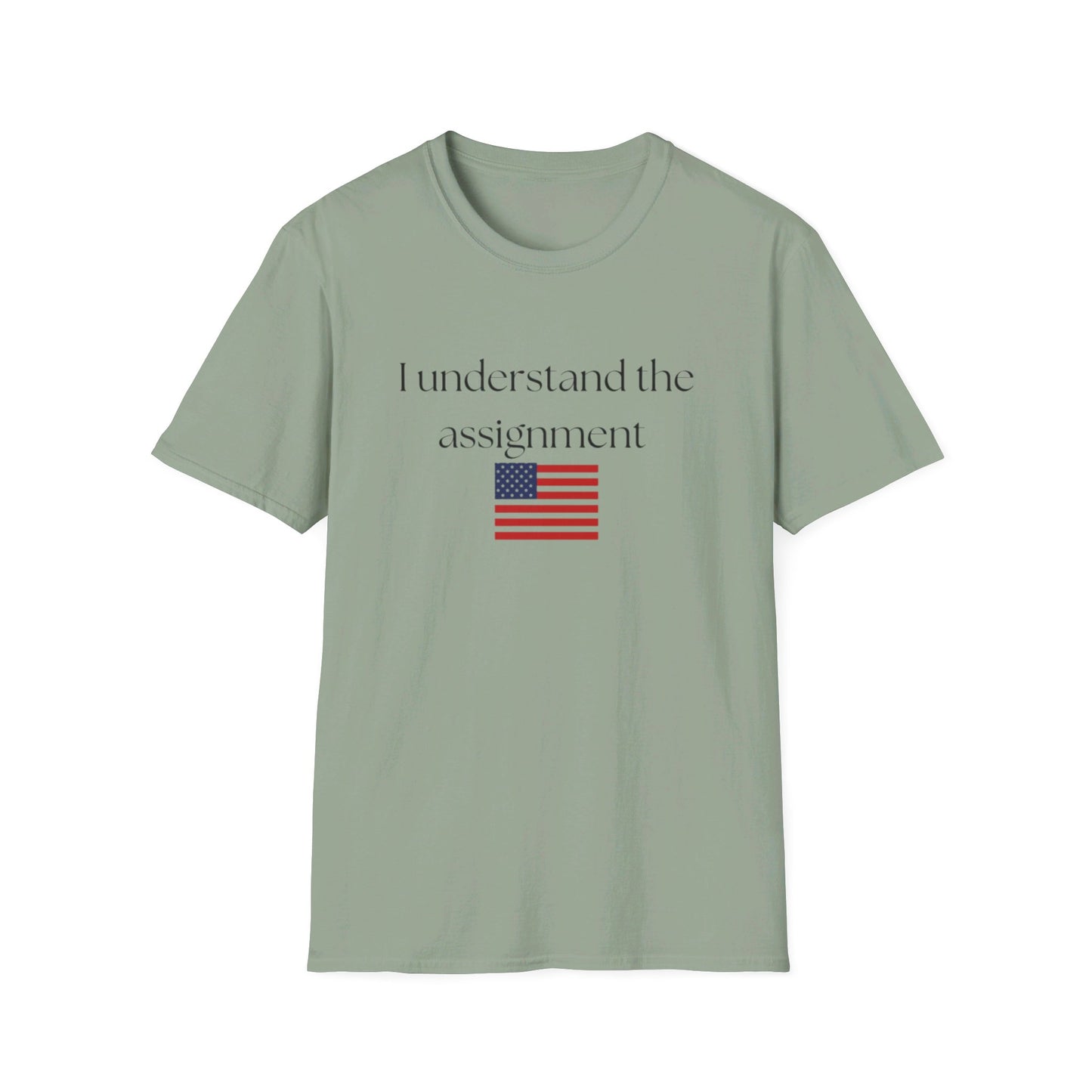 I understand the assignment and flag Unisex Softstyle T-Shirt