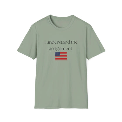 I understand the assignment and flag Unisex Softstyle T-Shirt