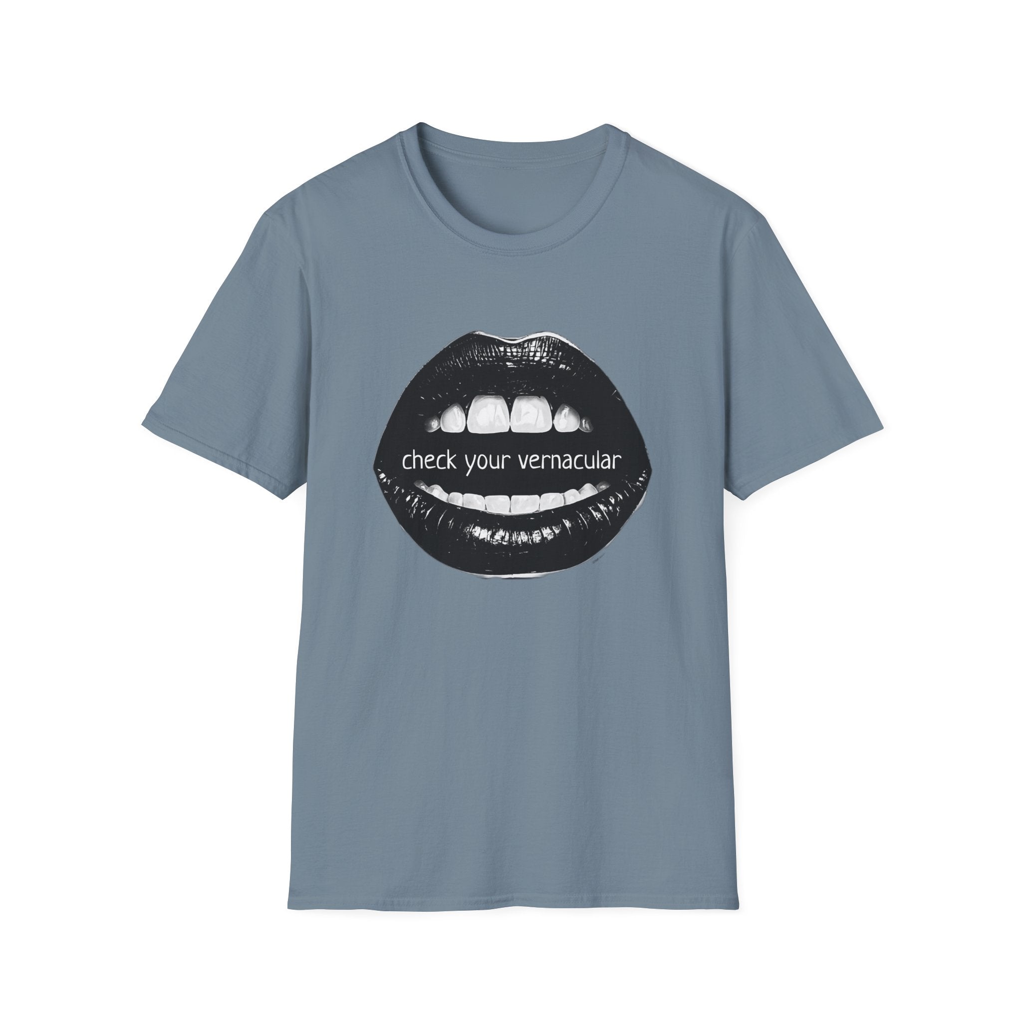 90s Music Lovers Gift Unisex Softstyle T-Shirt, TLC Lyrics Tee, Check Your Vernacular Shirt, Retro Music Fan Clothing, Vintage R&B Top