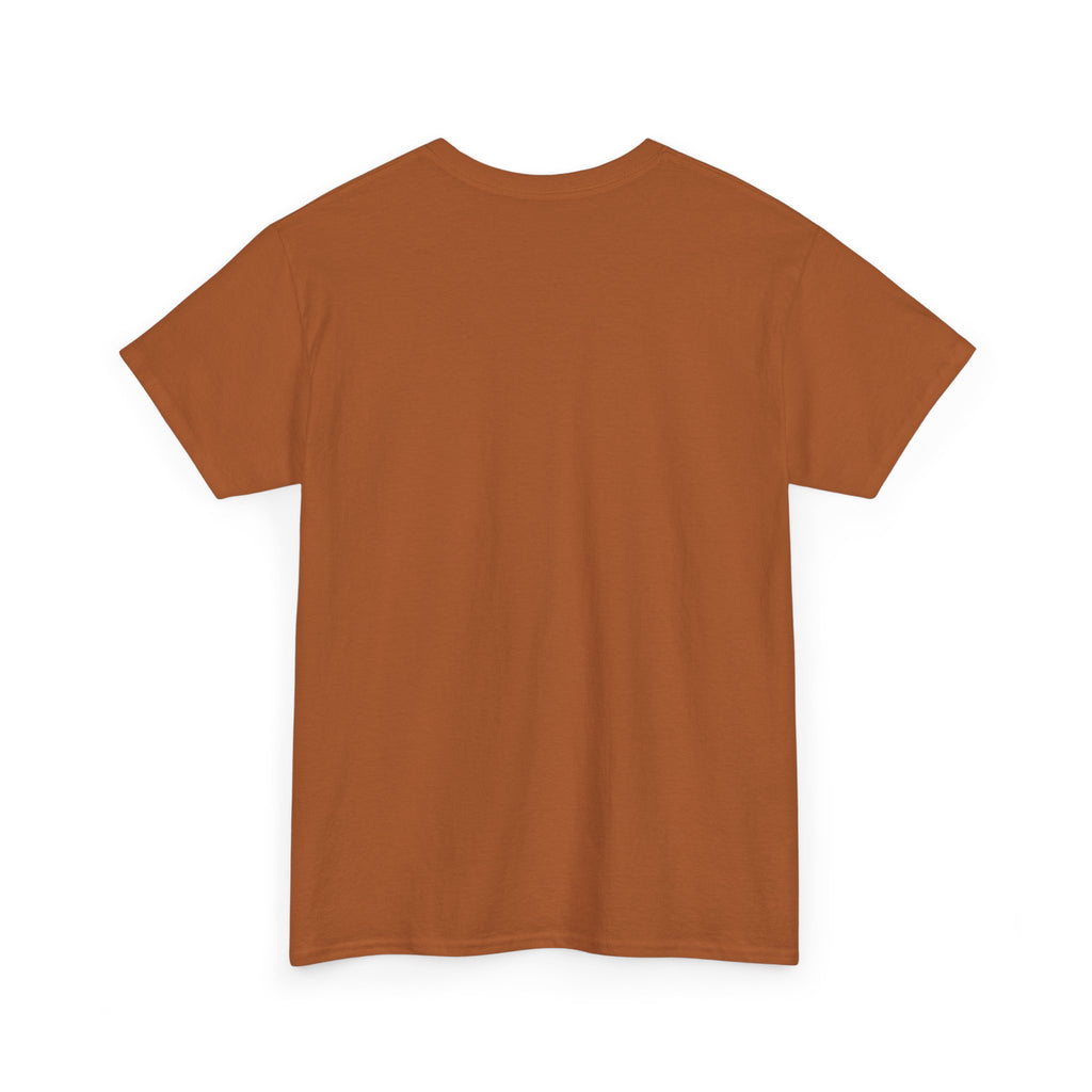 The only qualified person Trump ever hired was Stormy Daniels Anti-Trump Tee, Activist Apparel, Resist Clothing, Protest Shirt