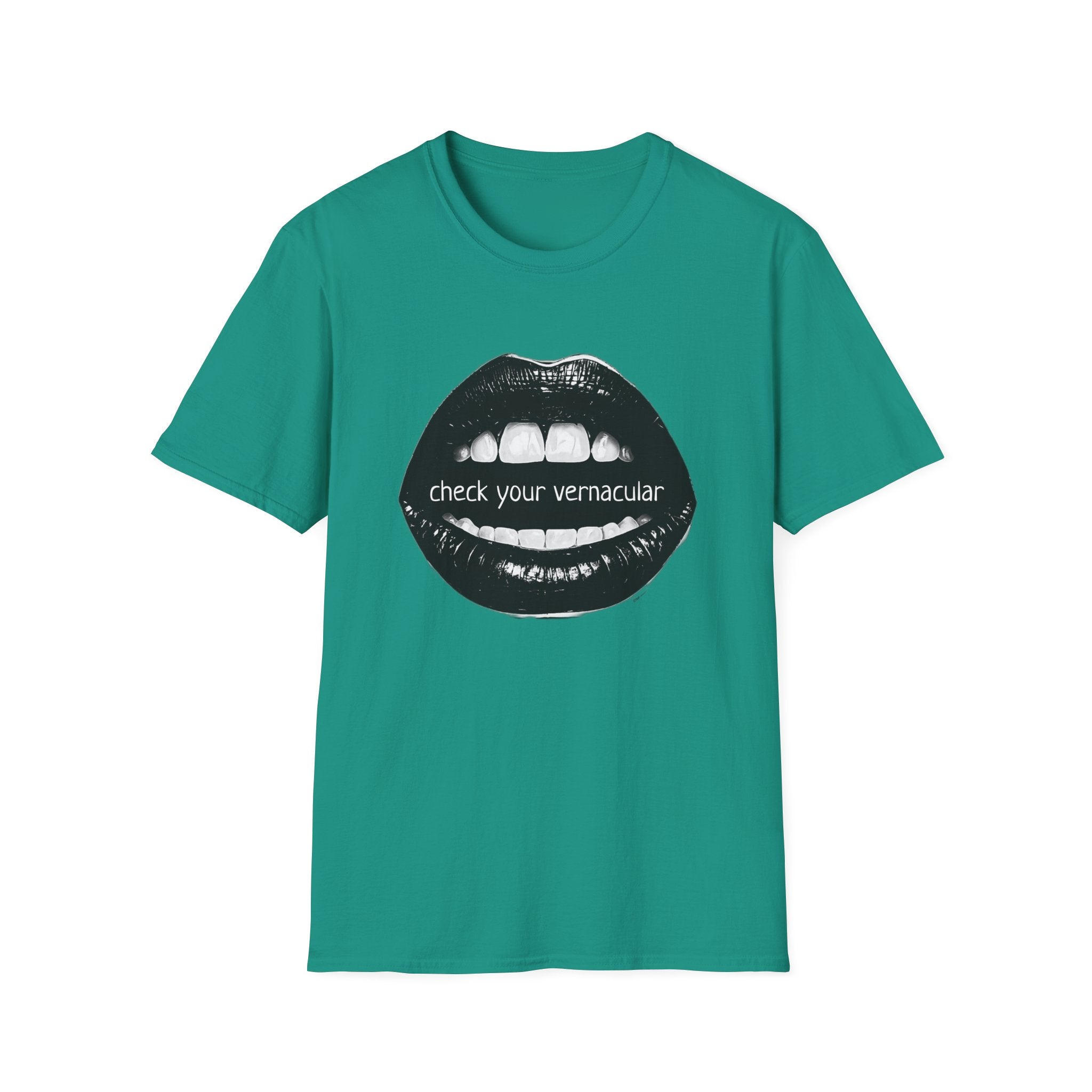 90s Music Lovers Gift Unisex Softstyle T-Shirt, TLC Lyrics Tee, Check Your Vernacular Shirt, Retro Music Fan Clothing, Vintage R&B Top