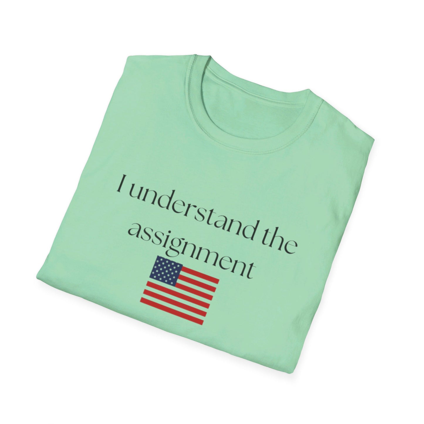 I understand the assignment and flag Unisex Softstyle T-Shirt