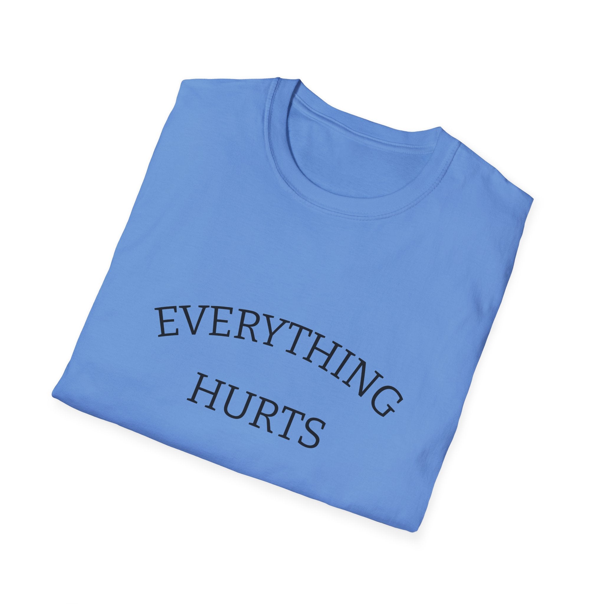 Everything Hurts Funny Workout Fitness gym Unisex Softstyle T-Shirt, Retirement Gift, Getting Old, Fitness Gift aches and pains