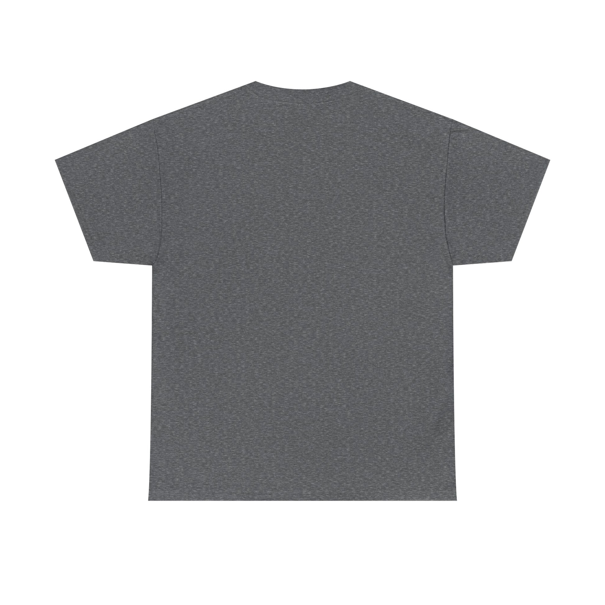 Metal Detecting Hobby Unisex Heavy Cotton Tee - Treasure Hunter Tshirt, Detectorist Gift, Metal Detecting Expedition Shirt, Hobbyist Tee,