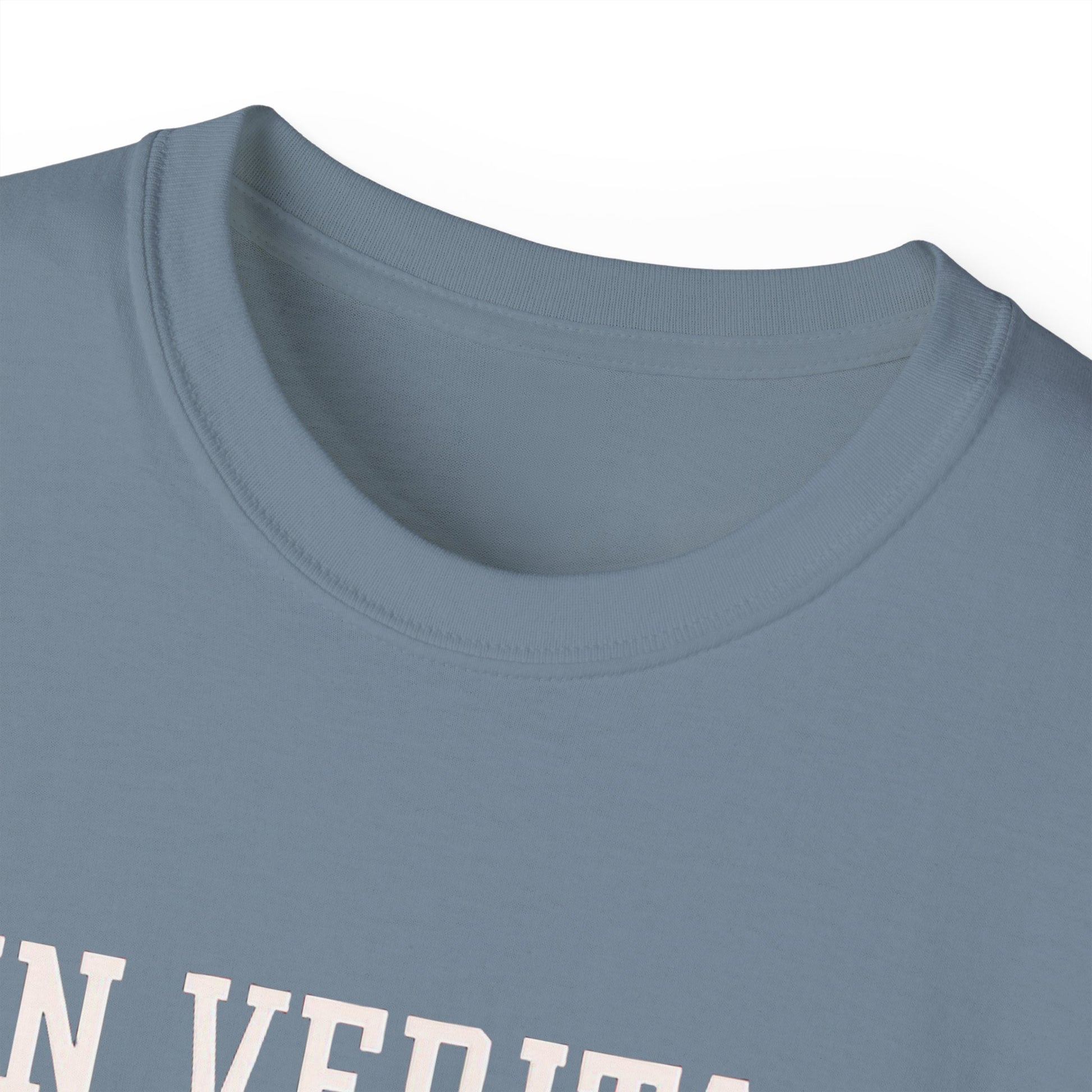 In Veritas We Trust Harvard Anti Trump, Protest Shirt, Political Activist Gift, Statement Tee, College Shirt
