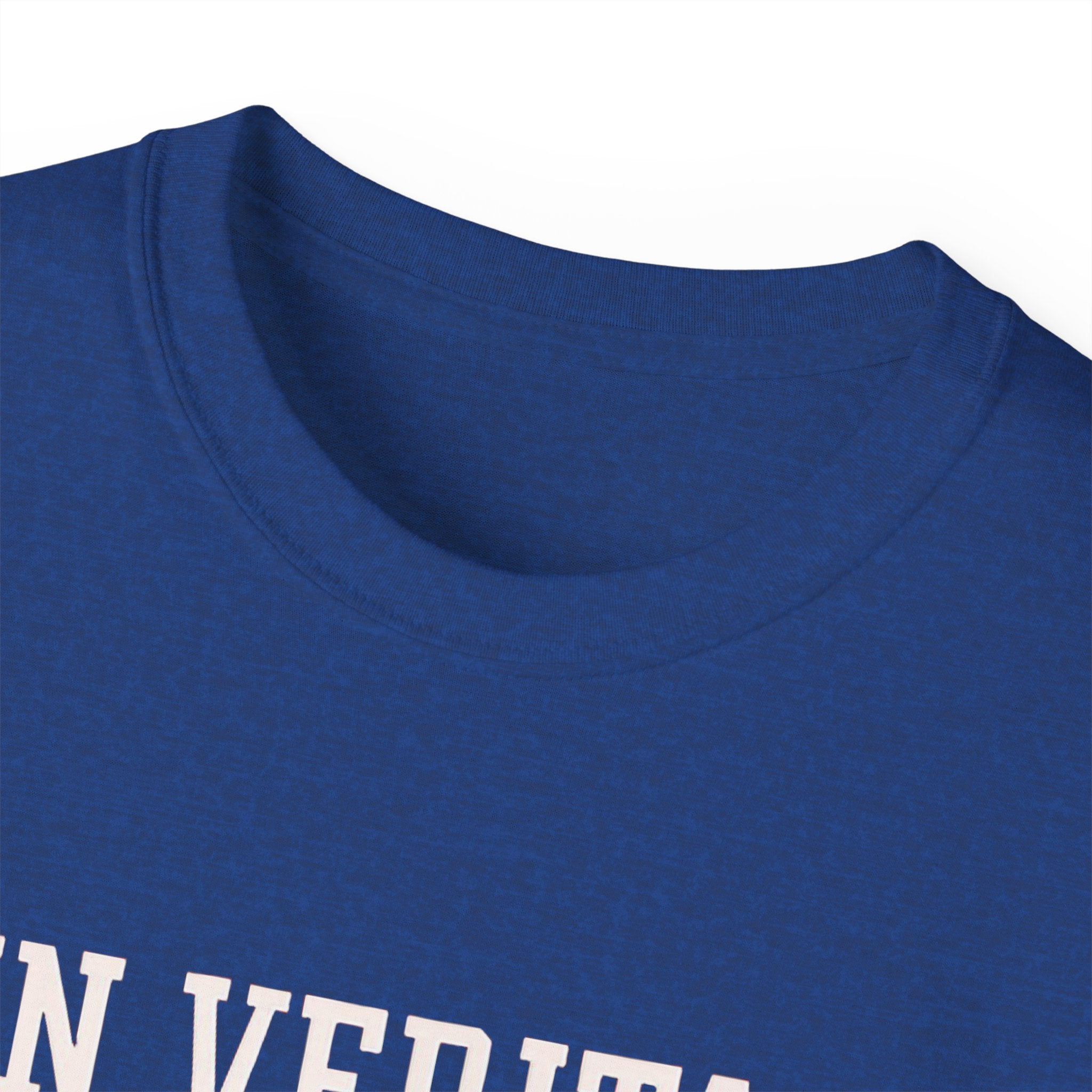 In Veritas We Trust Harvard Anti Trump, Protest Shirt, Political Activist Gift, Statement Tee, College Shirt