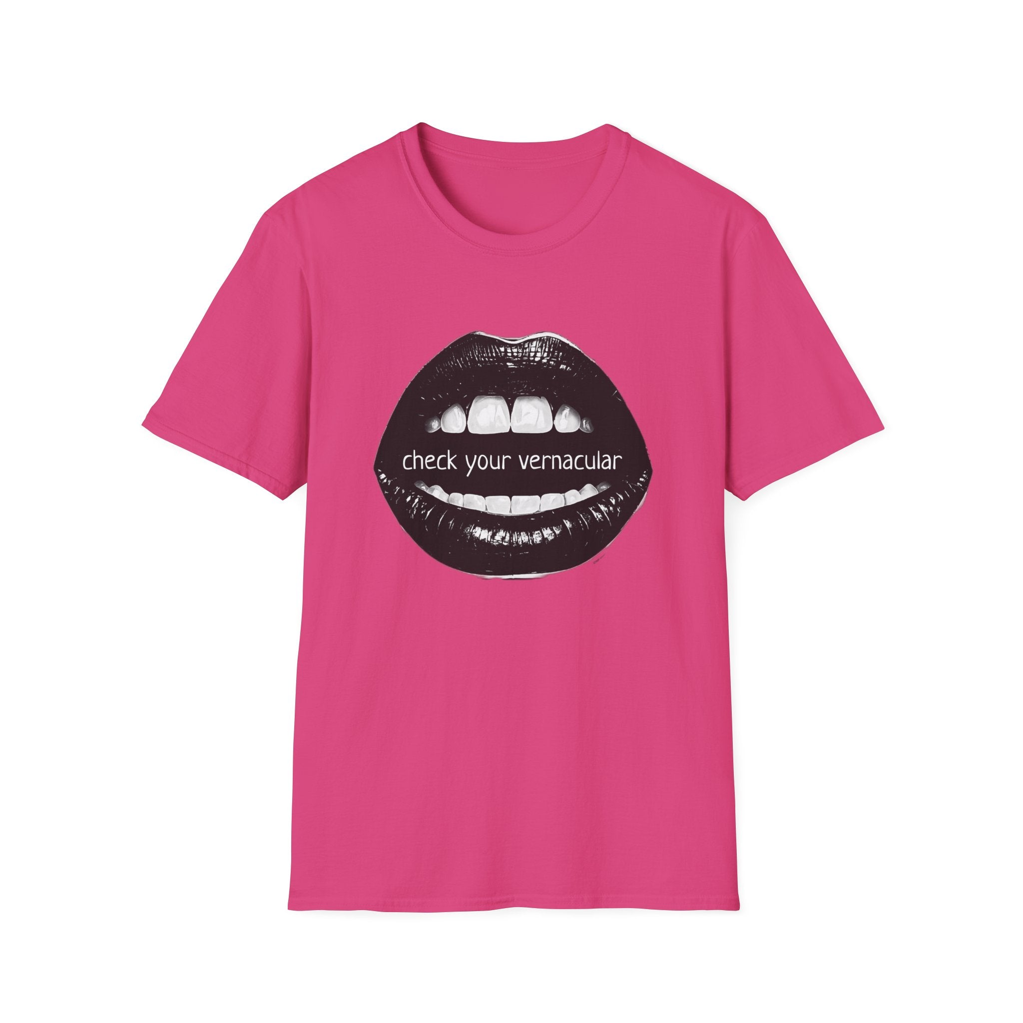 90s Music Lovers Gift Unisex Softstyle T-Shirt, TLC Lyrics Tee, Check Your Vernacular Shirt, Retro Music Fan Clothing, Vintage R&B Top