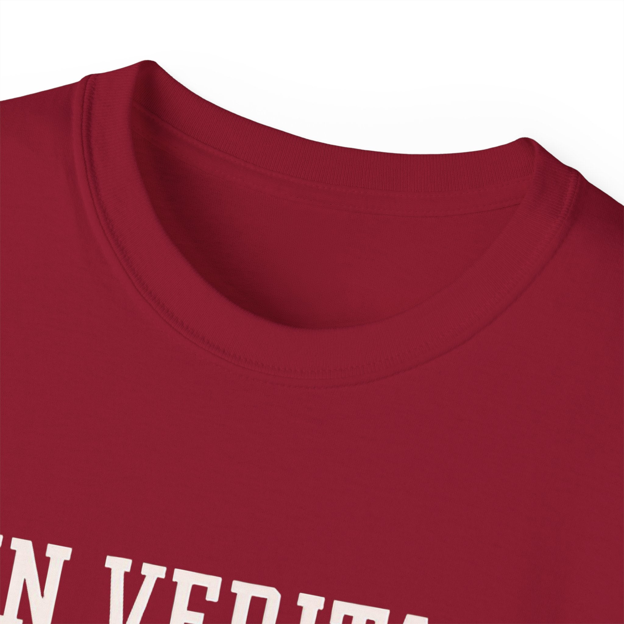 In Veritas We Trust Harvard Anti Trump, Protest Shirt, Political Activist Gift, Statement Tee, College Shirt