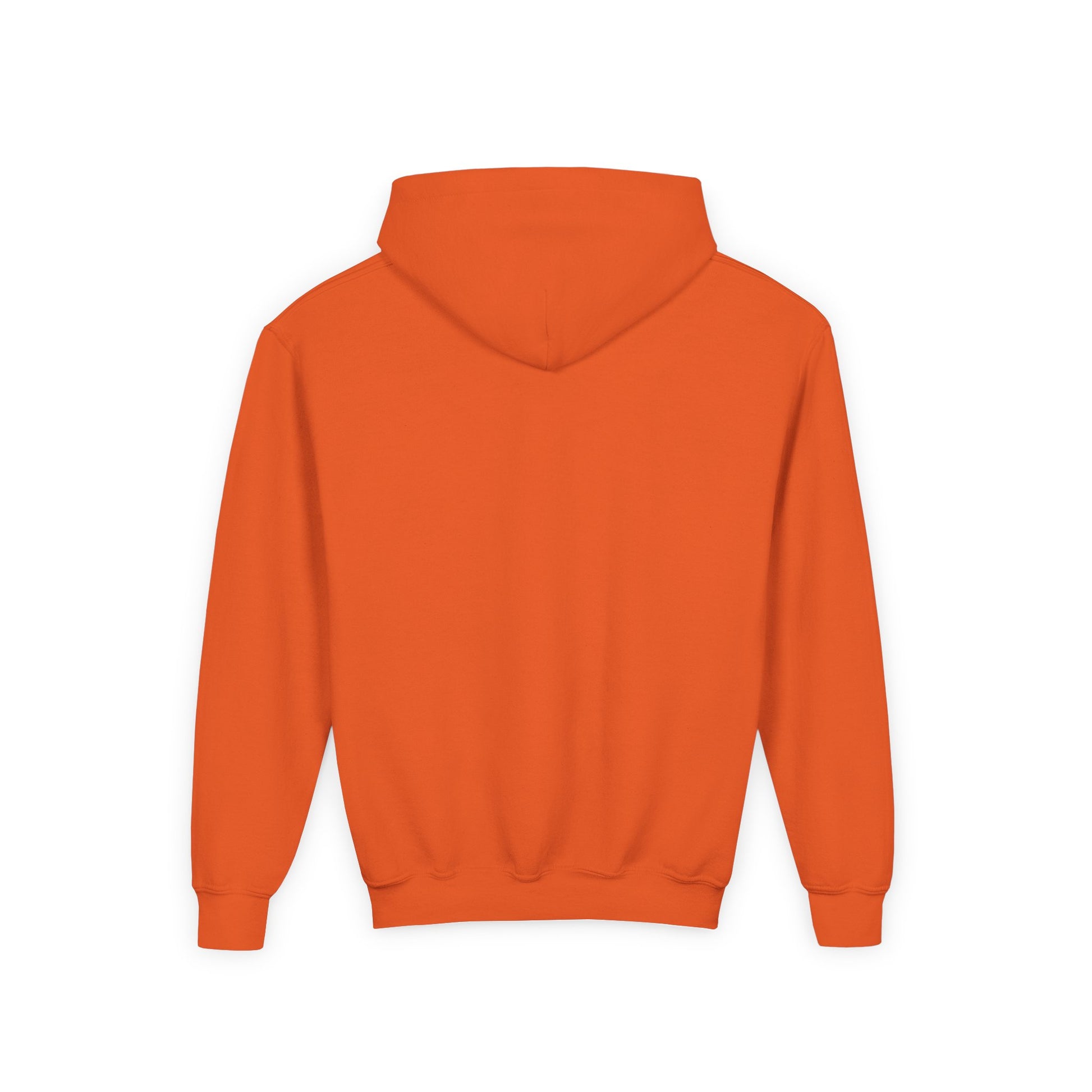 Radical Left Anti-Trump Youth Hoodie, Puppet Social Justice Activist Pullover, Protest Gift, Unisex Sweatshirt, Statement Apparel
