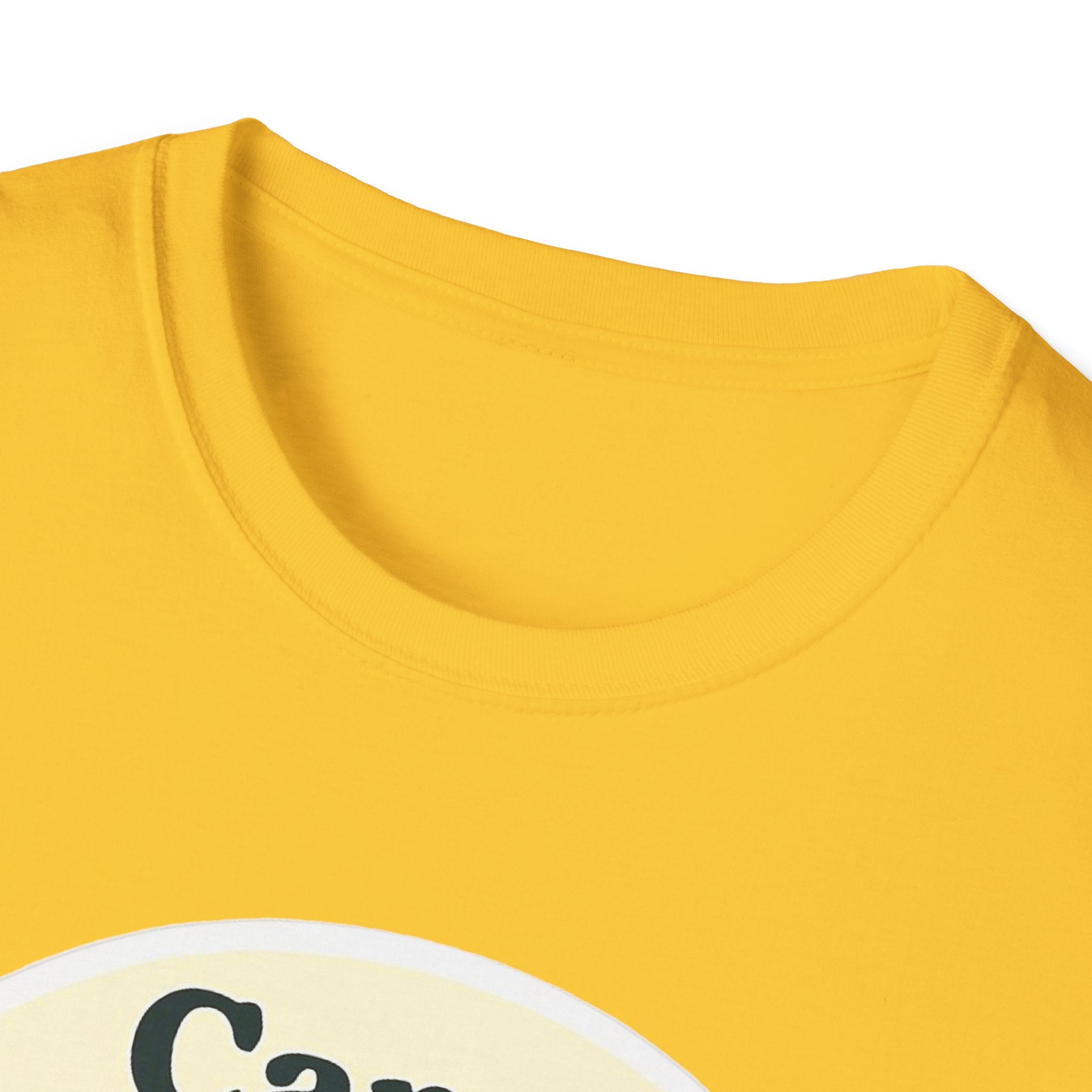 Camp MAGA Rainbow T-Shirt, Carnival Make America Gay Again Pride Tee, LGBTQ Festival Shirt, Unisex Softstyle Top, Patriotic Rainbow Apparel