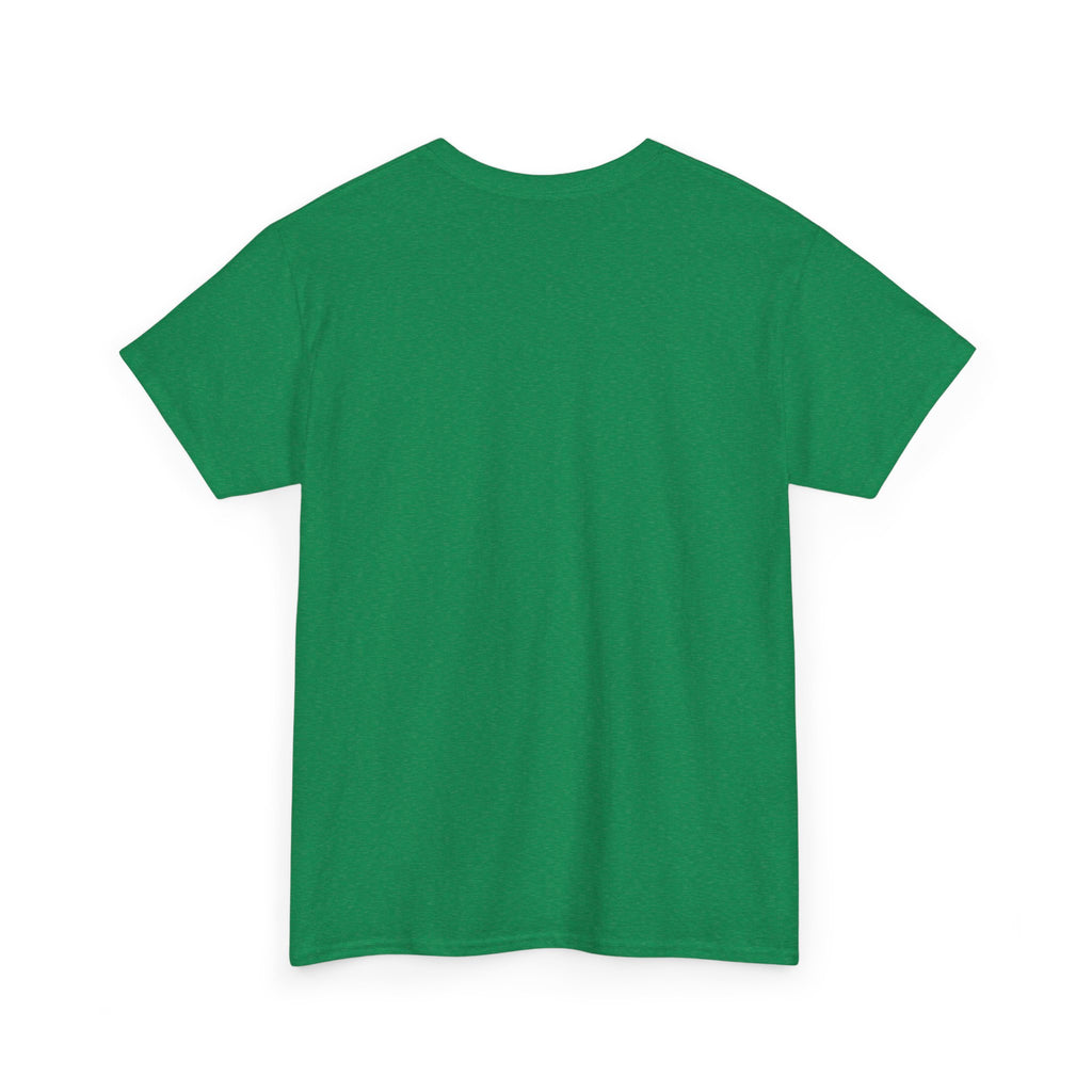 The only qualified person Trump ever hired was Stormy Daniels Anti-Trump Tee, Activist Apparel, Resist Clothing, Protest Shirt