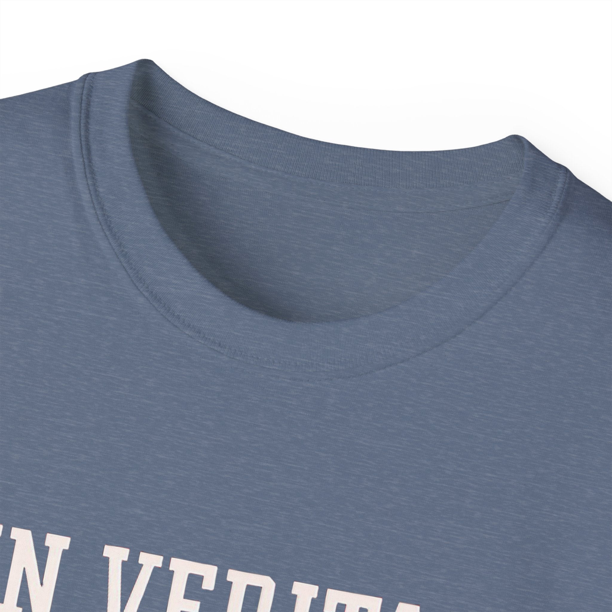 In Veritas We Trust Harvard Anti Trump, Protest Shirt, Political Activist Gift, Statement Tee, College Shirt